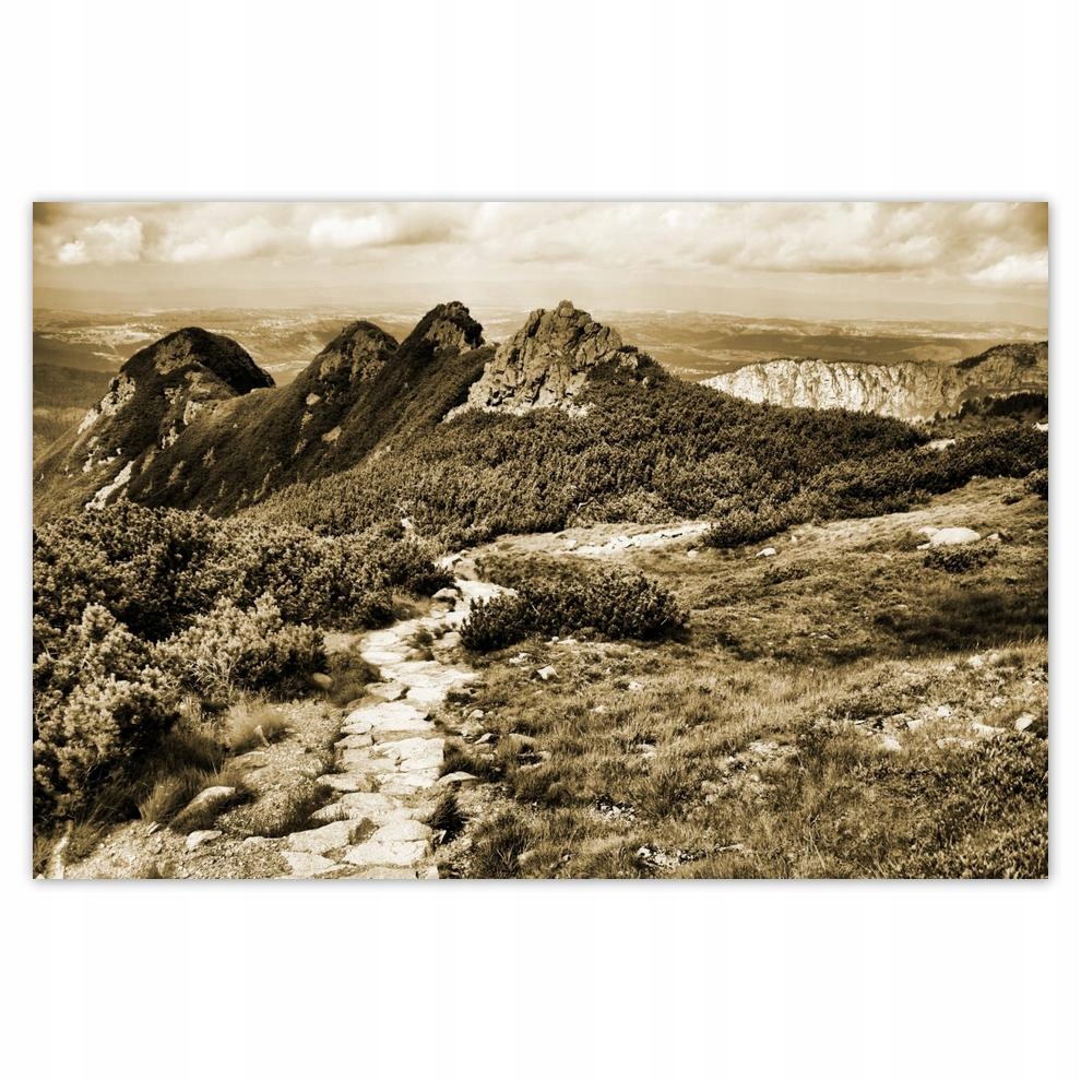 

Plakaty 60x40 Tatry Polskie góry Widok