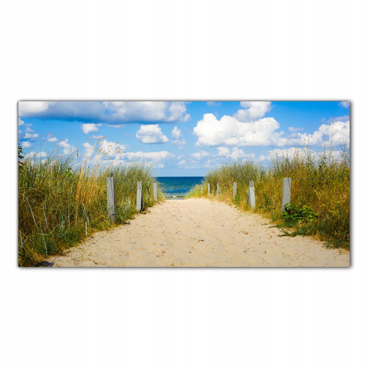 Cesta Pláž Baltské moře 100x50 Skleněný panel do kuchyně
