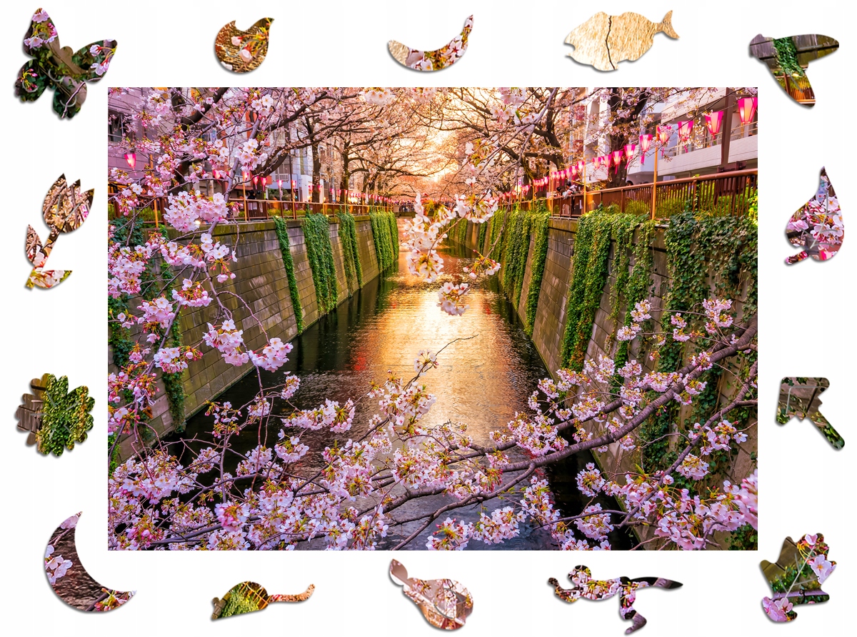 

Puzzle Drewniane dla dorosłych Premium Sakura