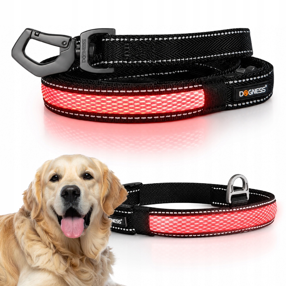 Smycz dla psa Odblaskowa Led XL zestaw z Obroża Led 46-58 cm L Dogness