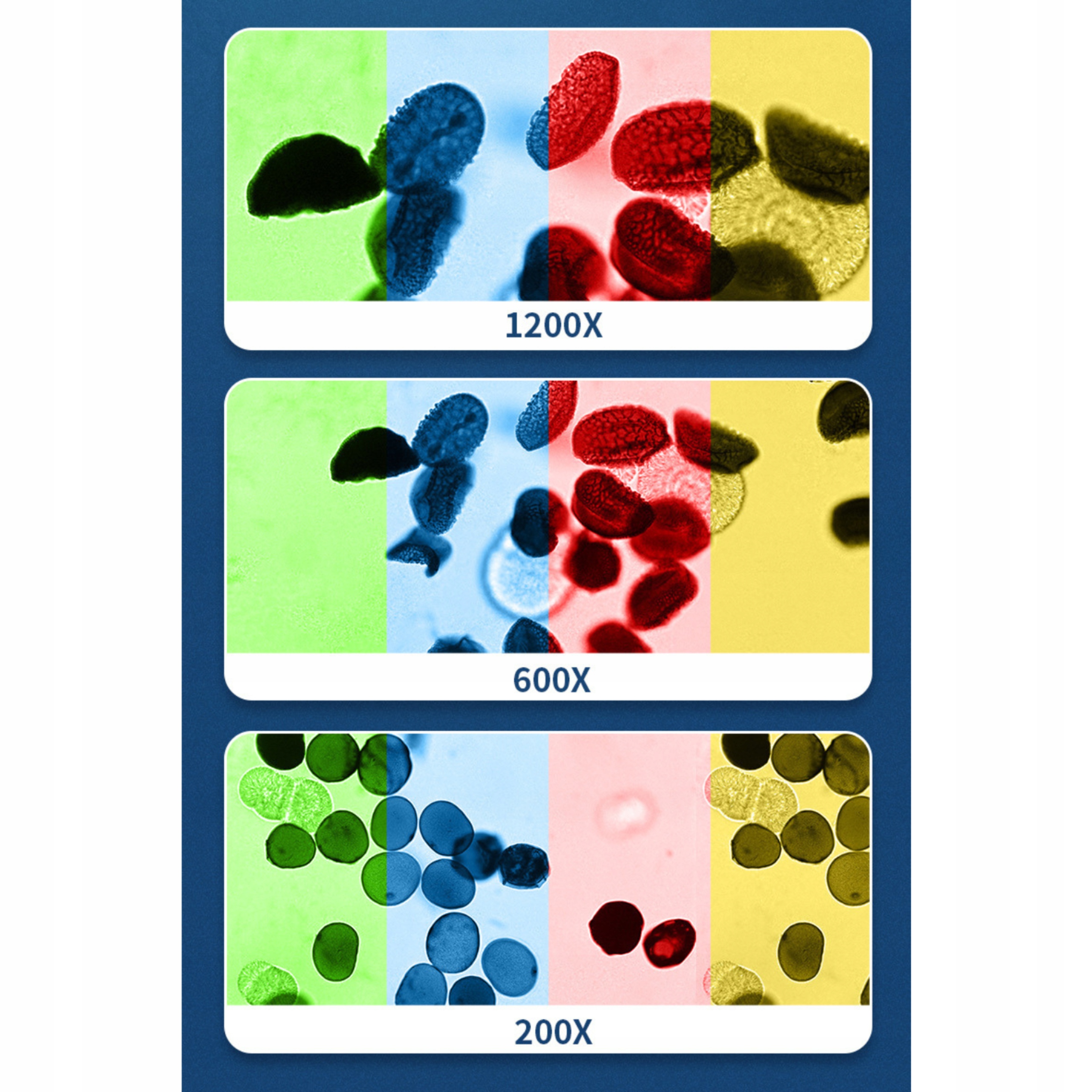 MIKROSKOP DLA DZIECI CYFROWY LED 1200x ZESTAW NAUKOWY EDUKACYJNY Akcesoria Szerokość produktu 42 cm