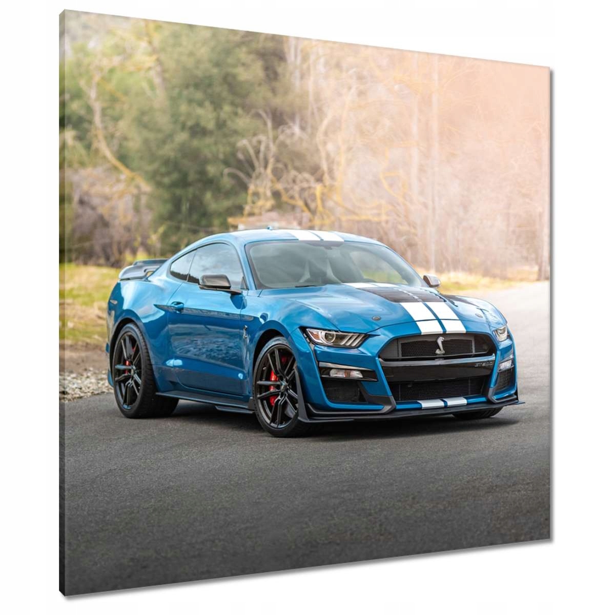 Obrazy 80x80 Modrý Ford Mustang