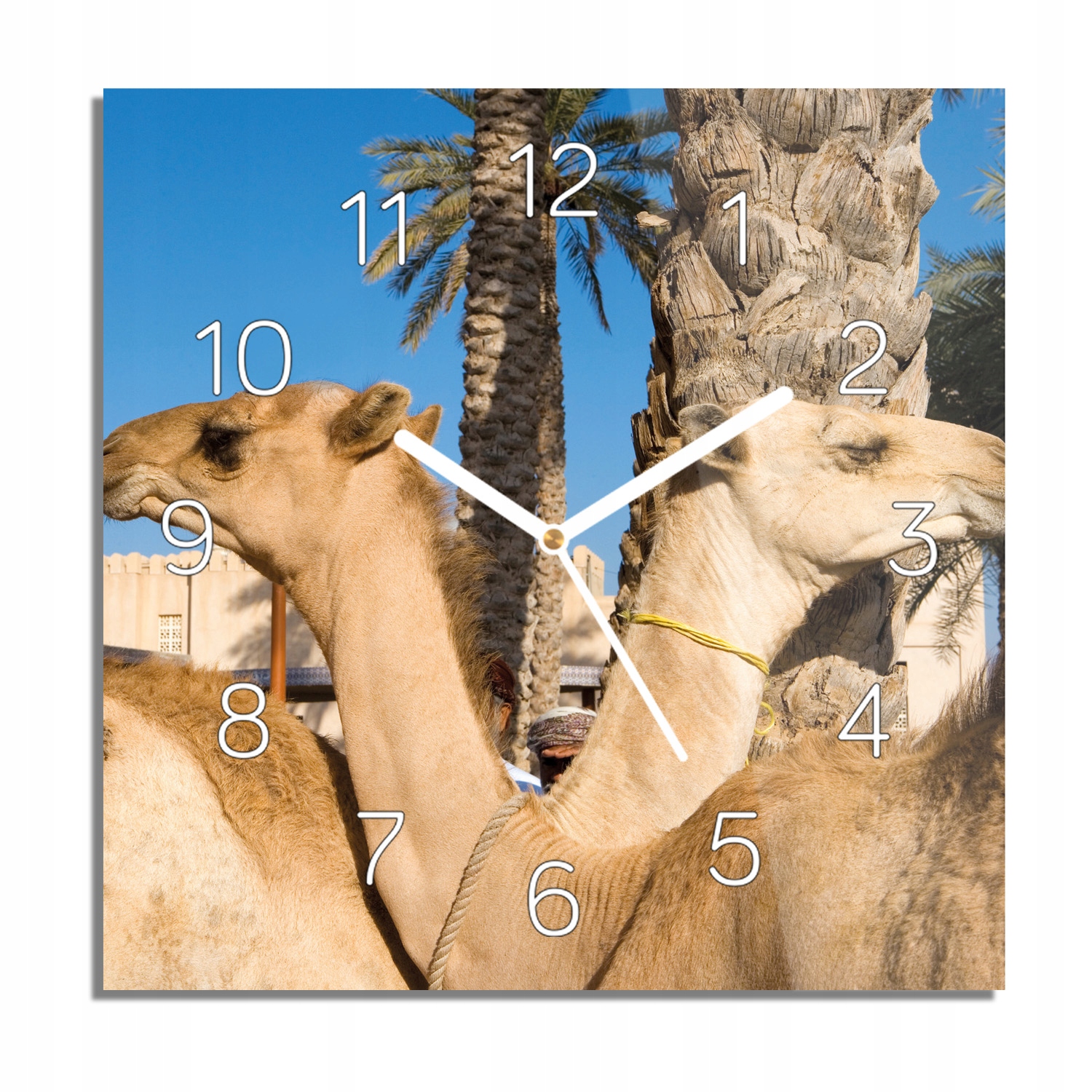 

Wielbłądy palmy foto-zegar do kuchni 30x30 z foto