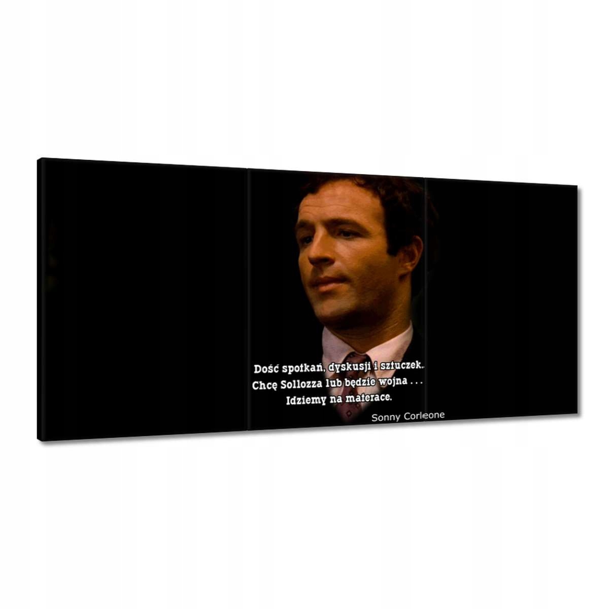 Obrazy 120x60 Godfather Sonny Citáty