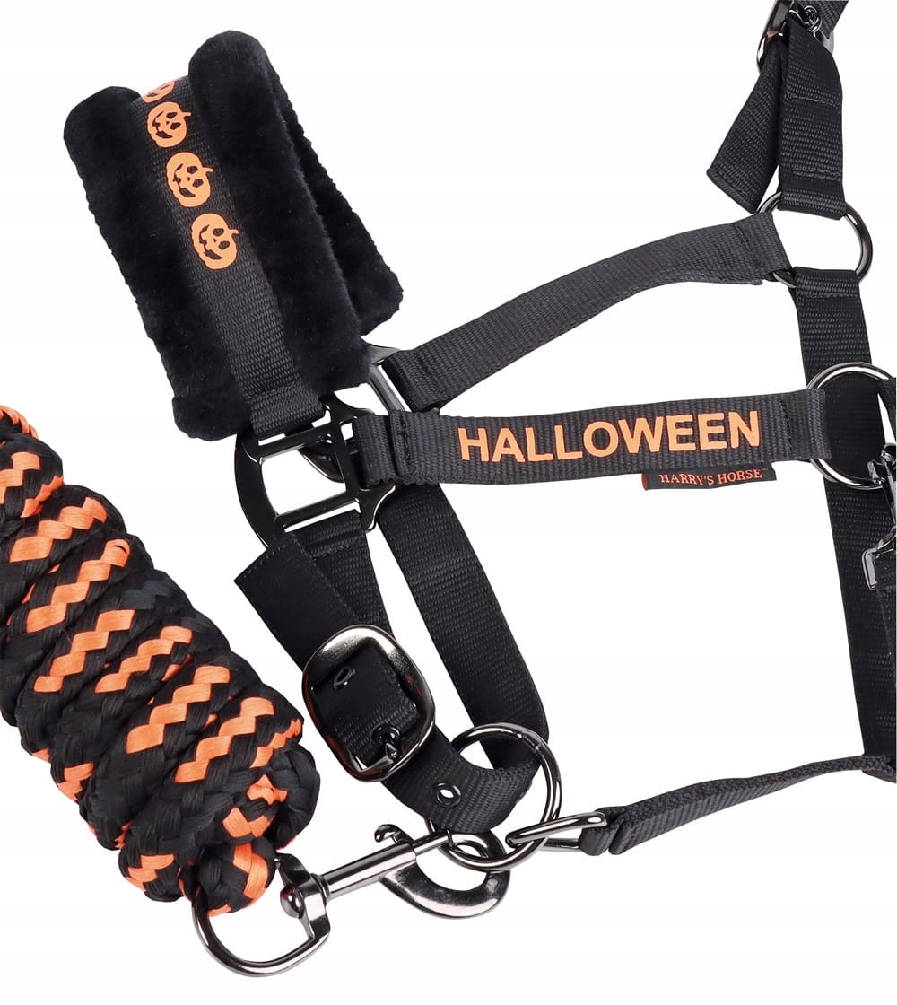 HARRY'S kantar + uwiąz Halloween black 24H Shetland Model Halloween