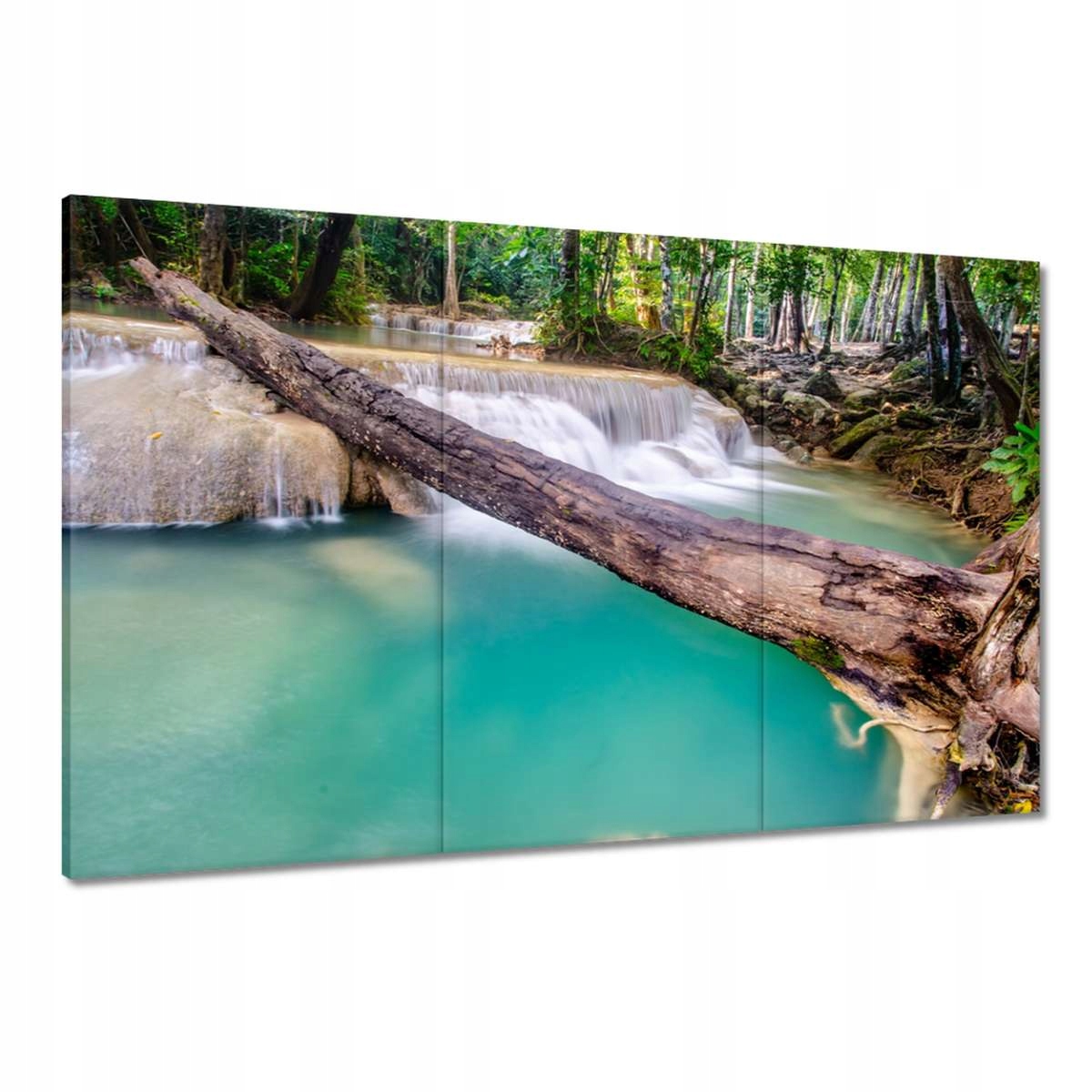 Obrazy 120x80 Popadaný strom