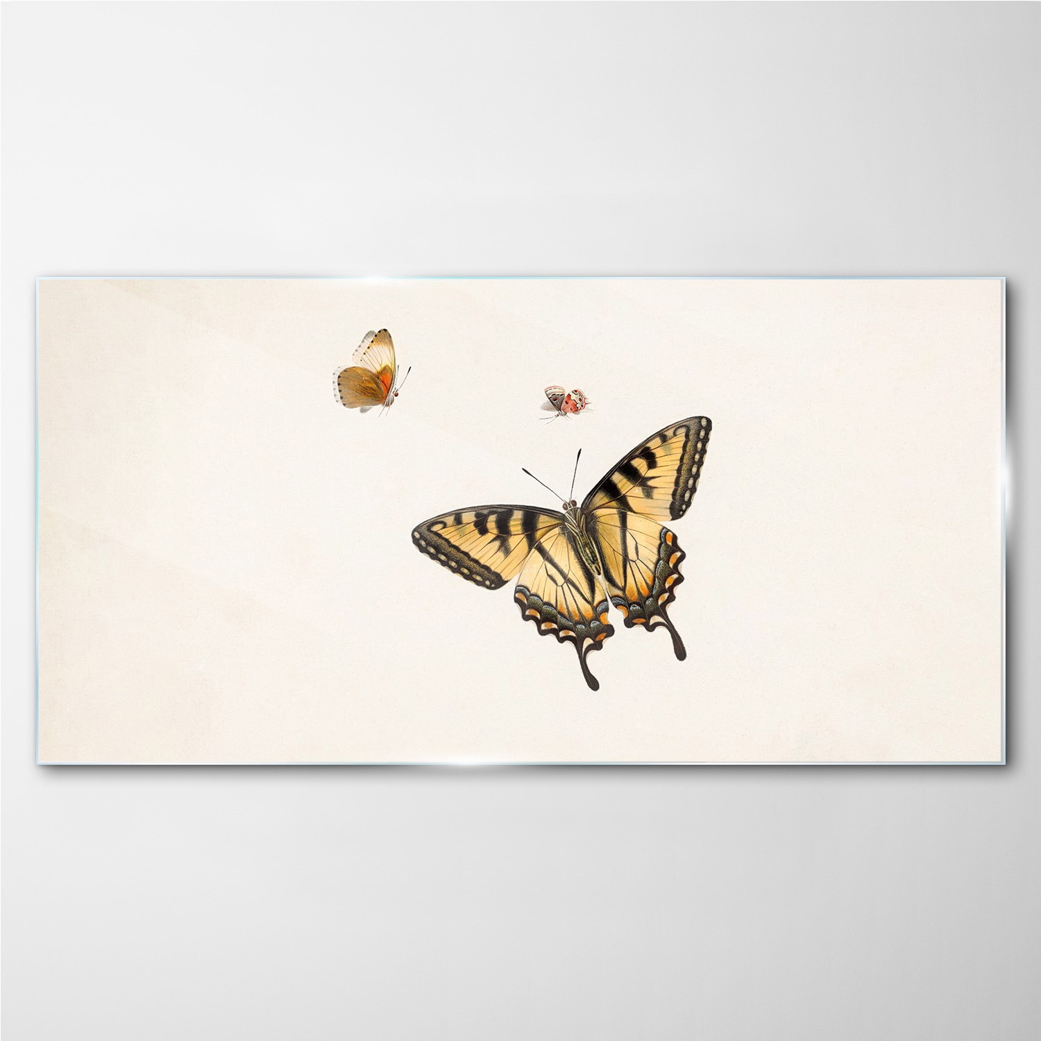 

Fotoobraz szklany na ścianę Owad motyl 140x70 cm
