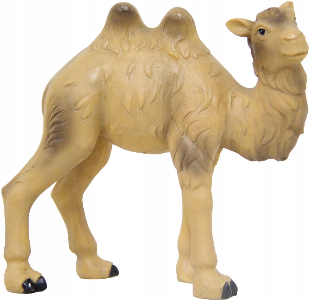 

Młody Wielbłąd do Szopki- 9,5cm wys. do figur 15cm
