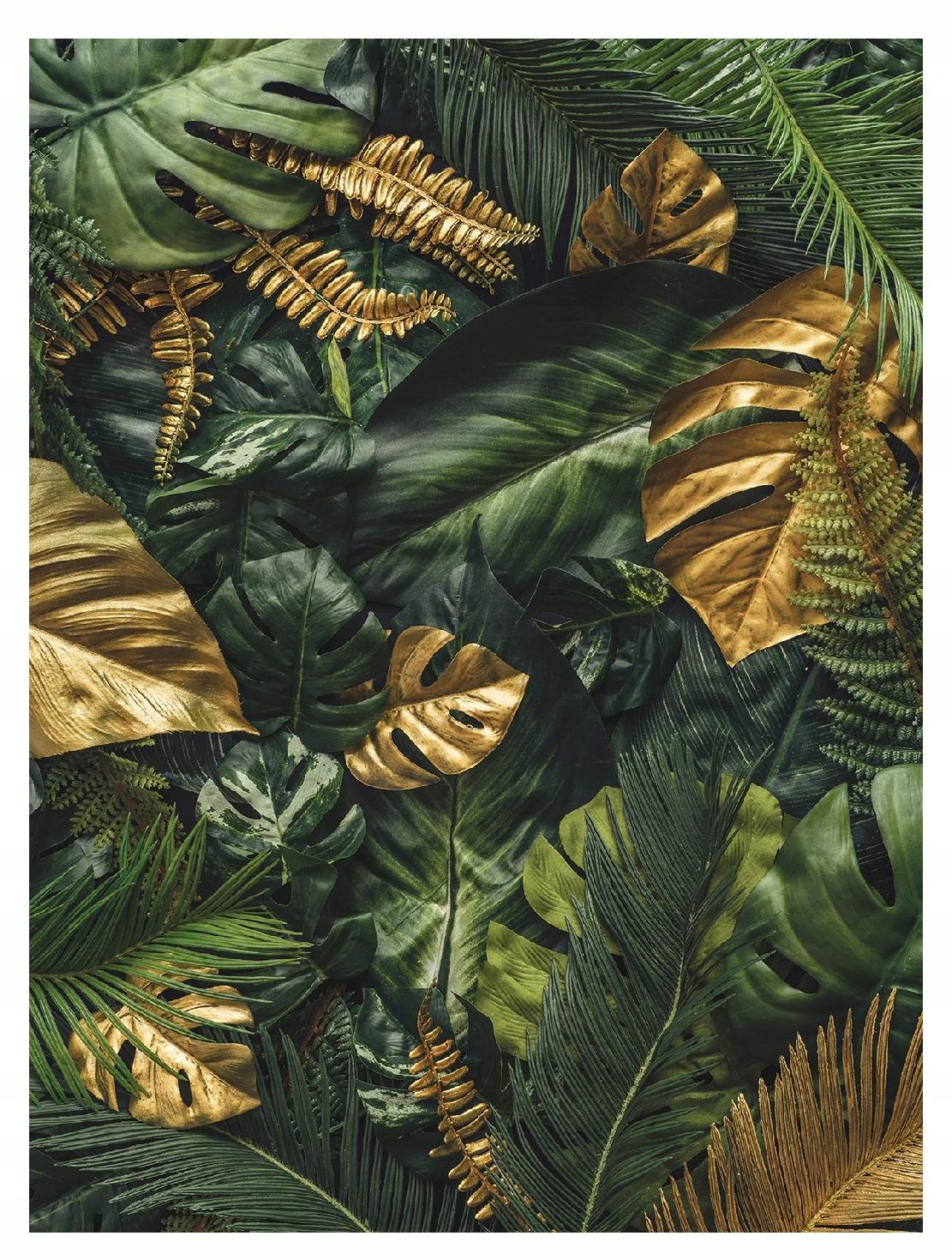 Fototapeta Listy Monstera Do Obývacího Pokoje 3D 184x254