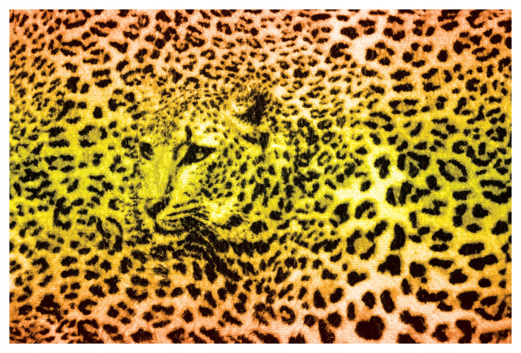 Fototapeta Leopard Skvrny očí Zvířata na zeď Design 208x146 lepidlo