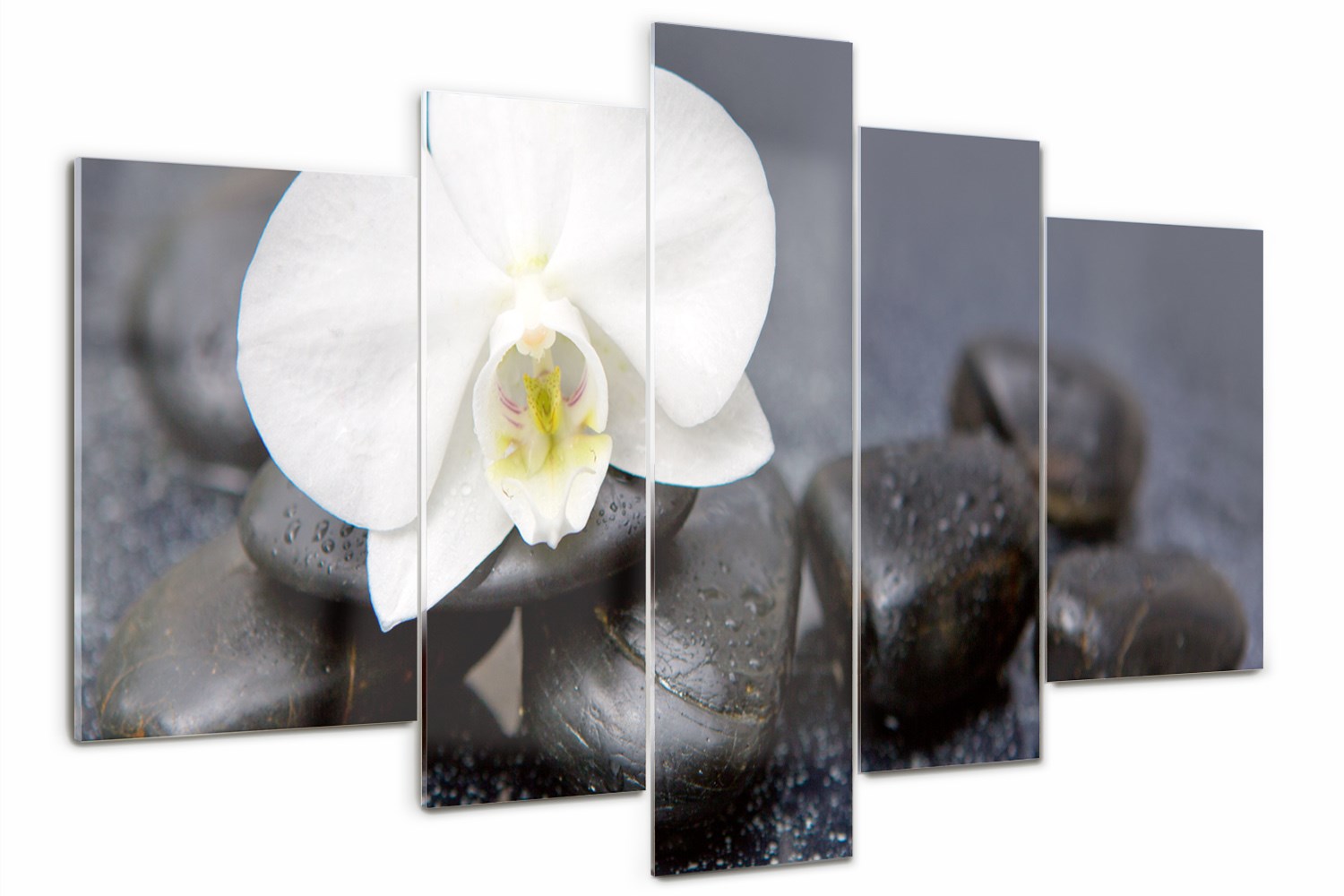 

Foto Obraz szklany tryptyk nowoczesny Orchidea