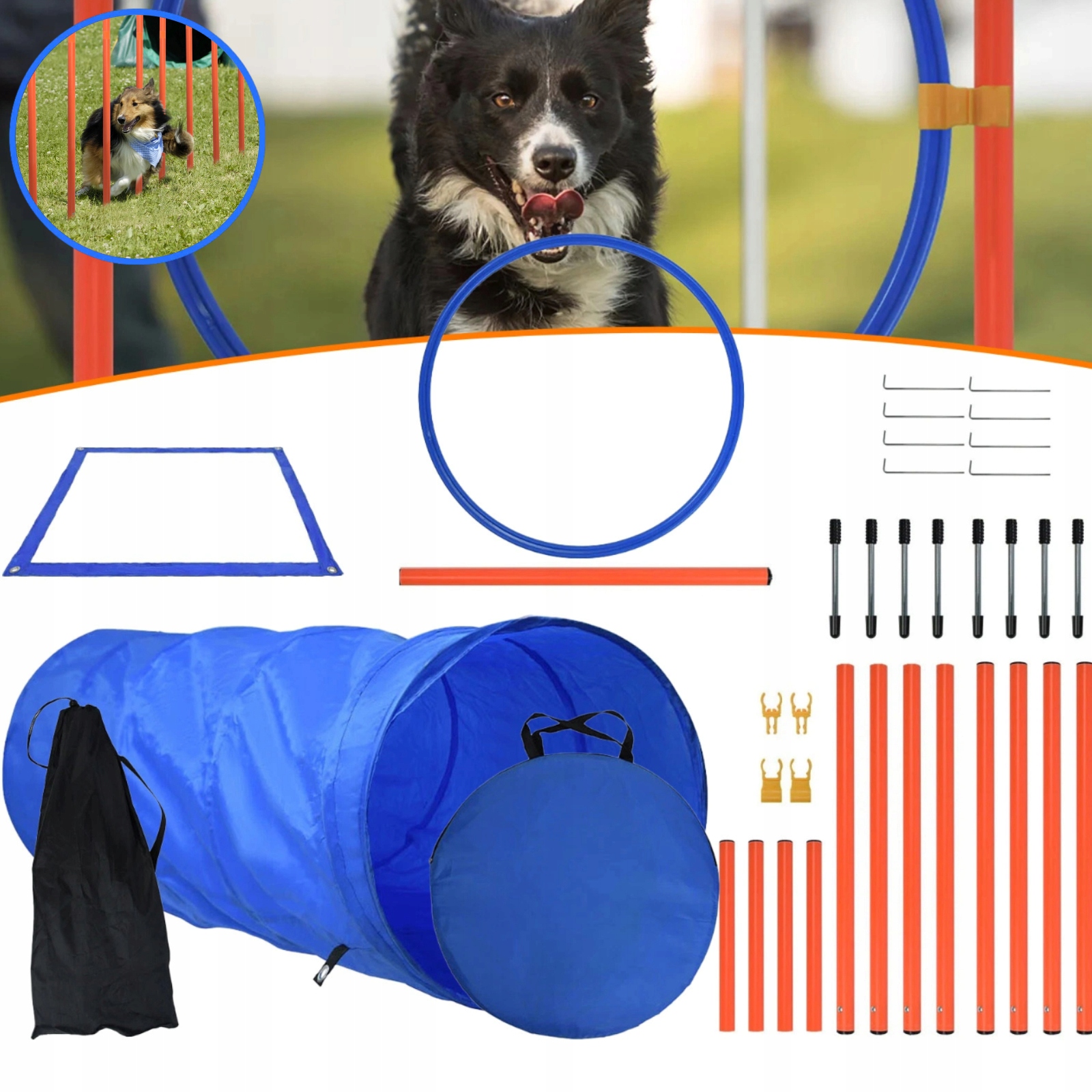 Agility sada pro výcvik psů pro výcvikové hry Agility