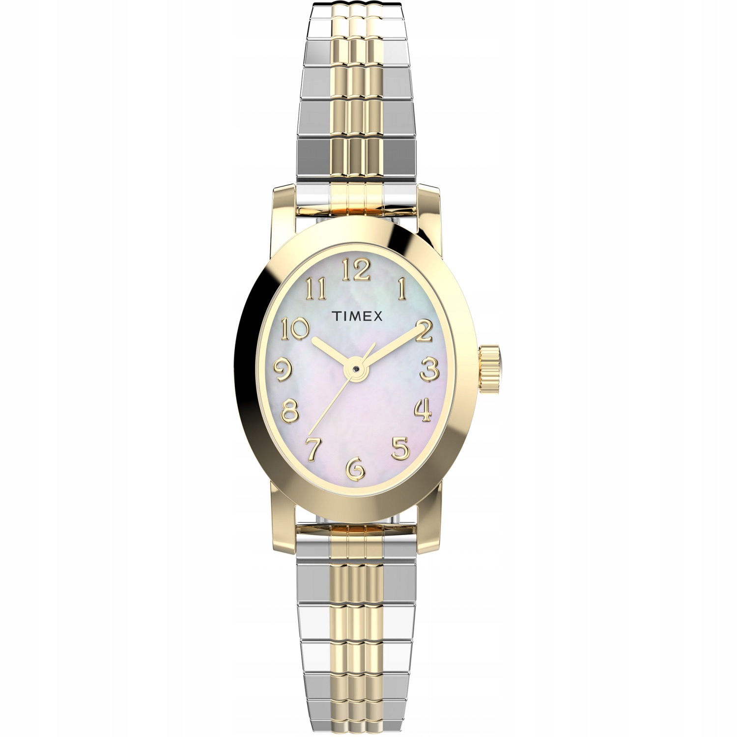 Dámské hodinky Timex TW2W70000 stříbrné