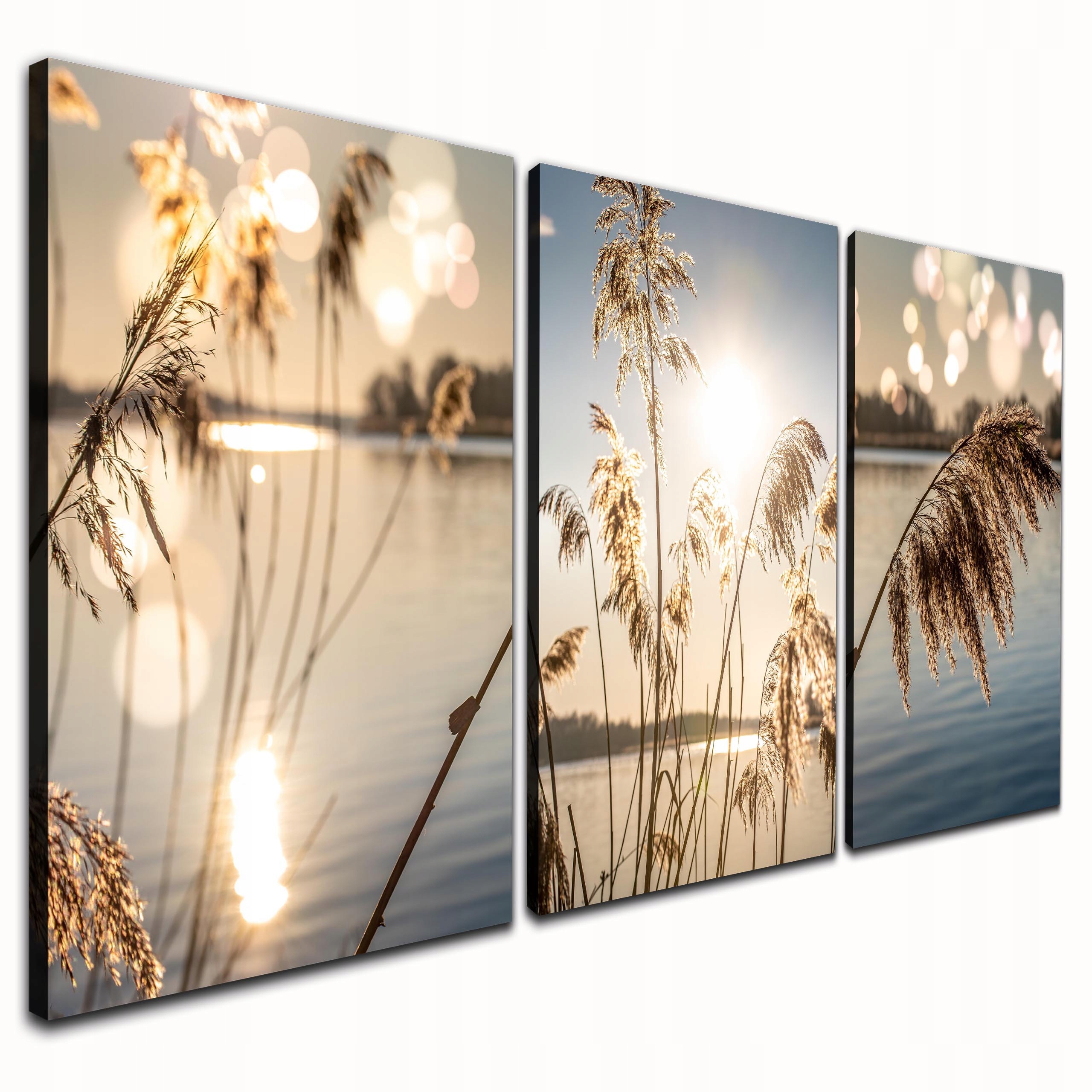 Obraz do salonu na ścianę Rośliny Natura Boho Styl 120X60 Płótno Tryptyk