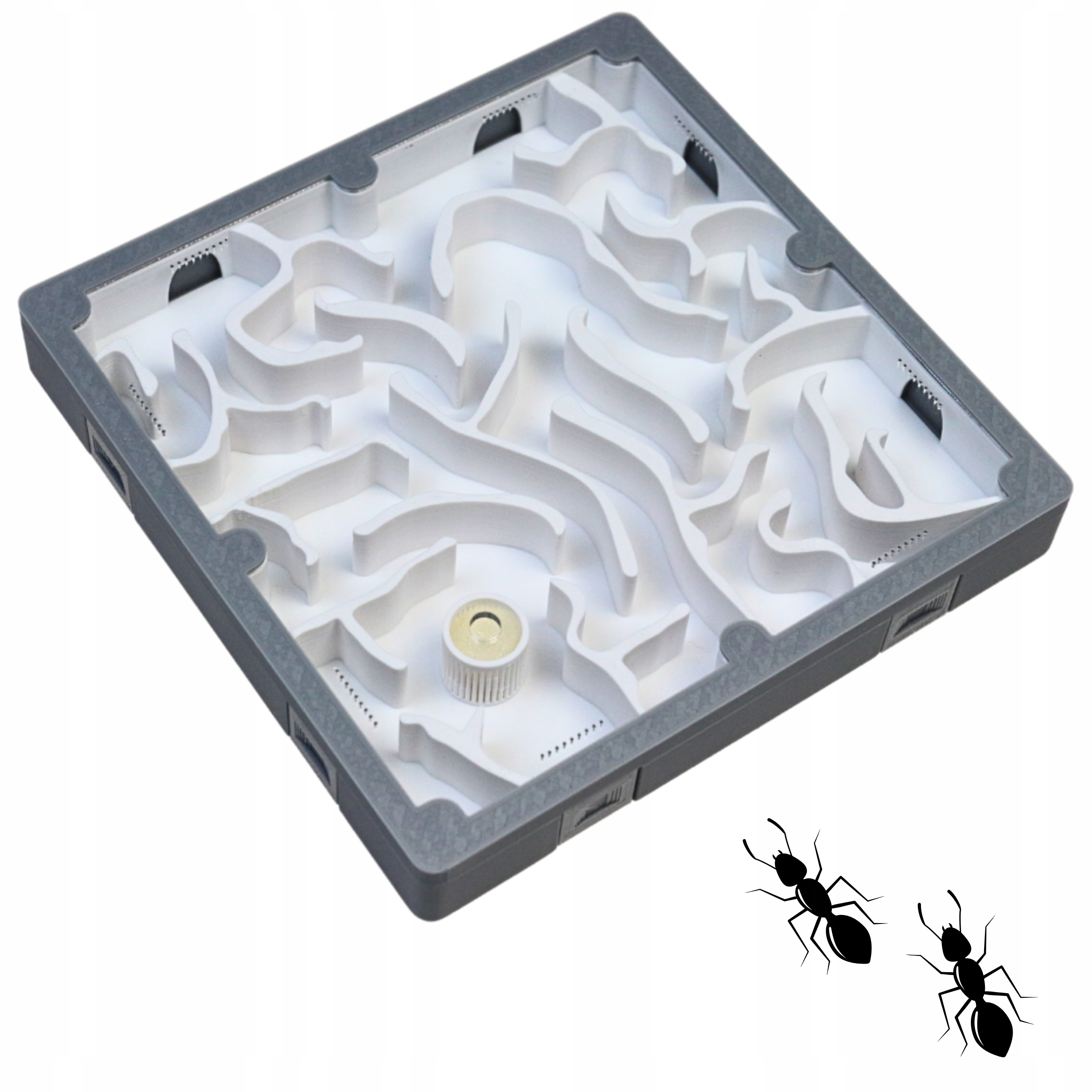 Formikarium-Gniazdo L białe Modułowe AntLove dla mrówek Messor barbarus