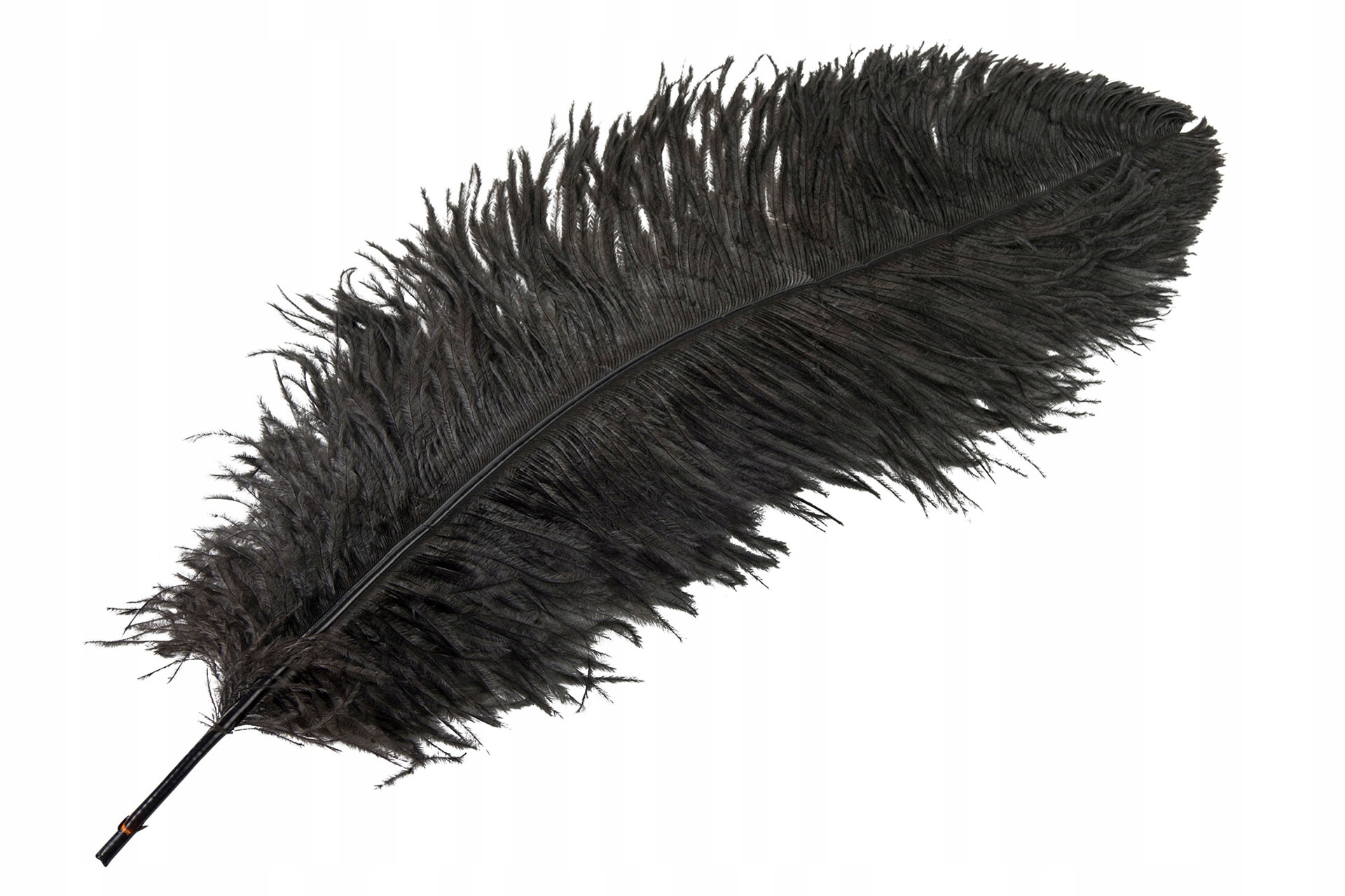 Příběh Strusie pro vázy ladiček 60cm