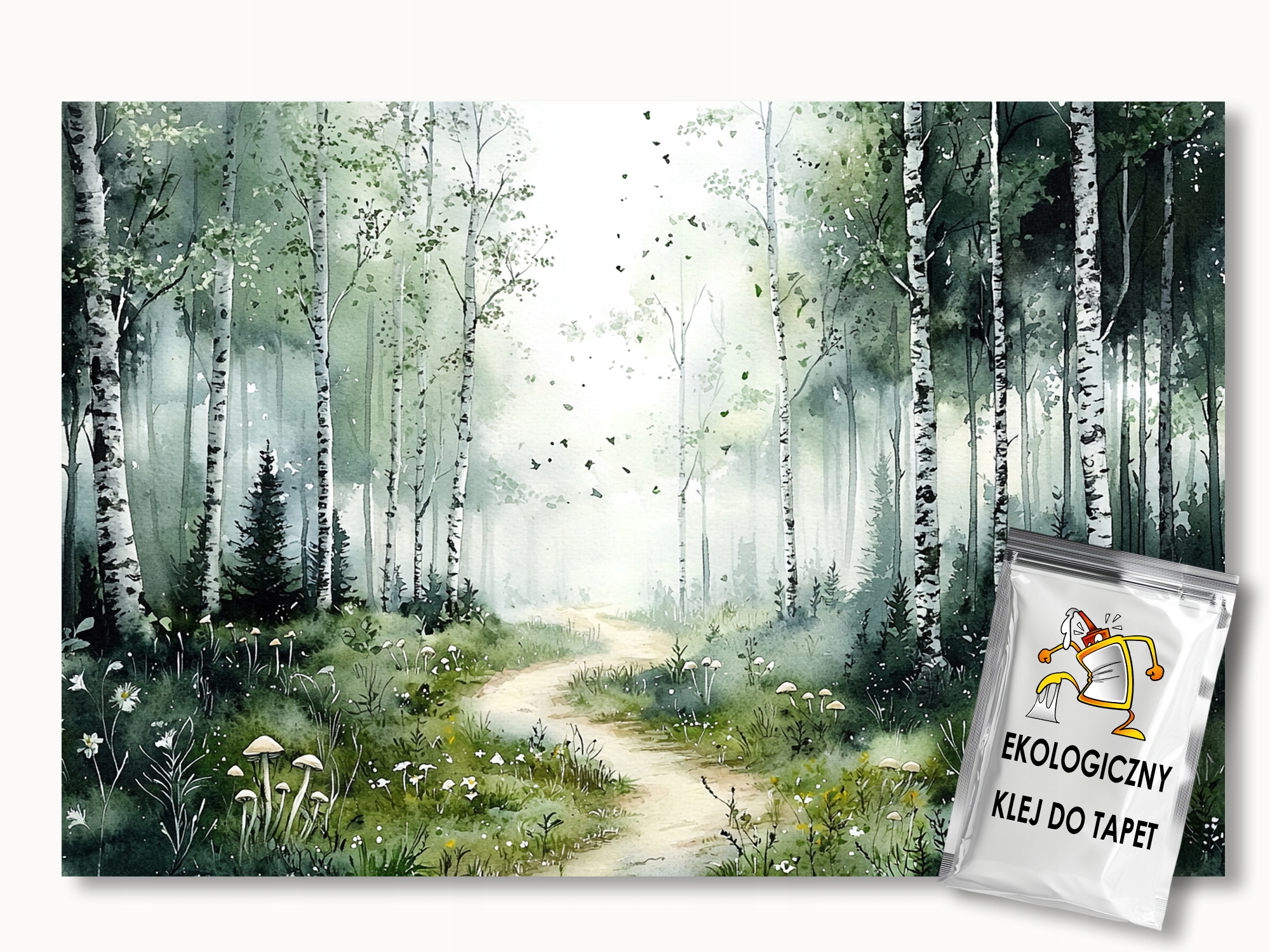 Fototapeta Flizelina Les Stromy Břízy Cesta Stezka Houby 200x140 155g