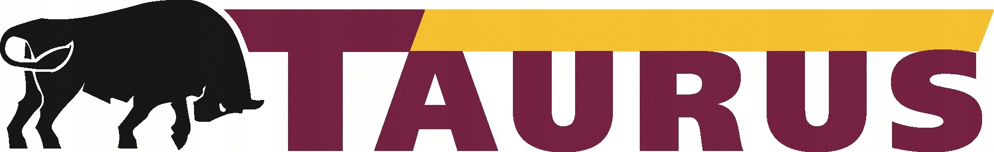 2x Taurus WINTER Taurus 205/45R17 88V Rok produkcji 2024