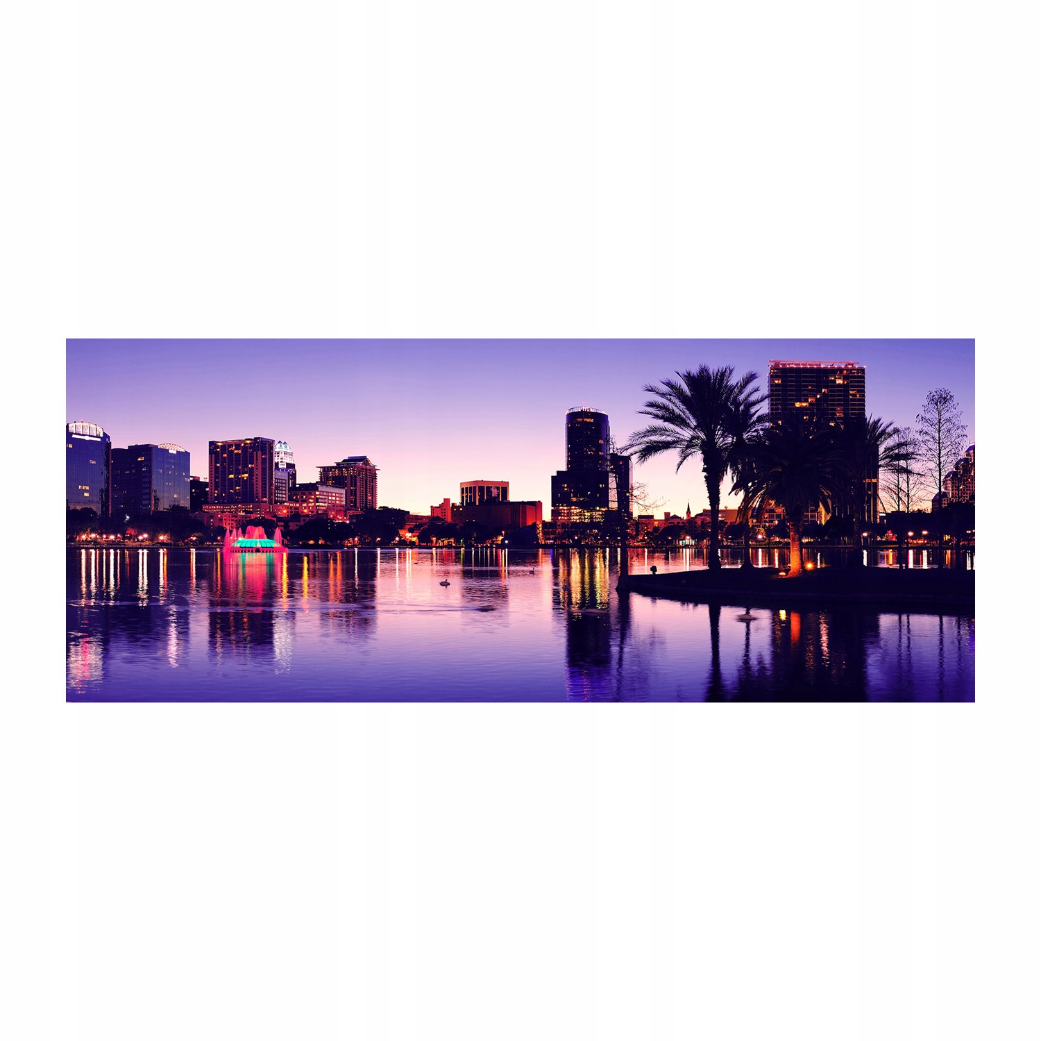 

Foto obraz na szkle akrylowym Orlando Usa 125x50cm