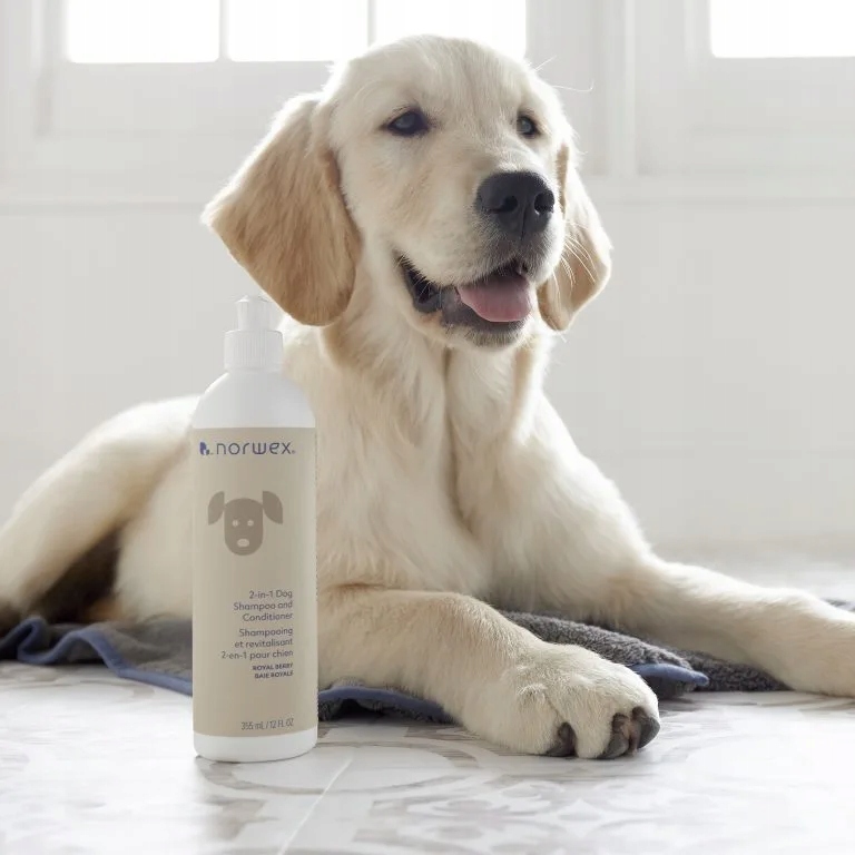 Norwex Šampon 2 v 1, Royal Berry