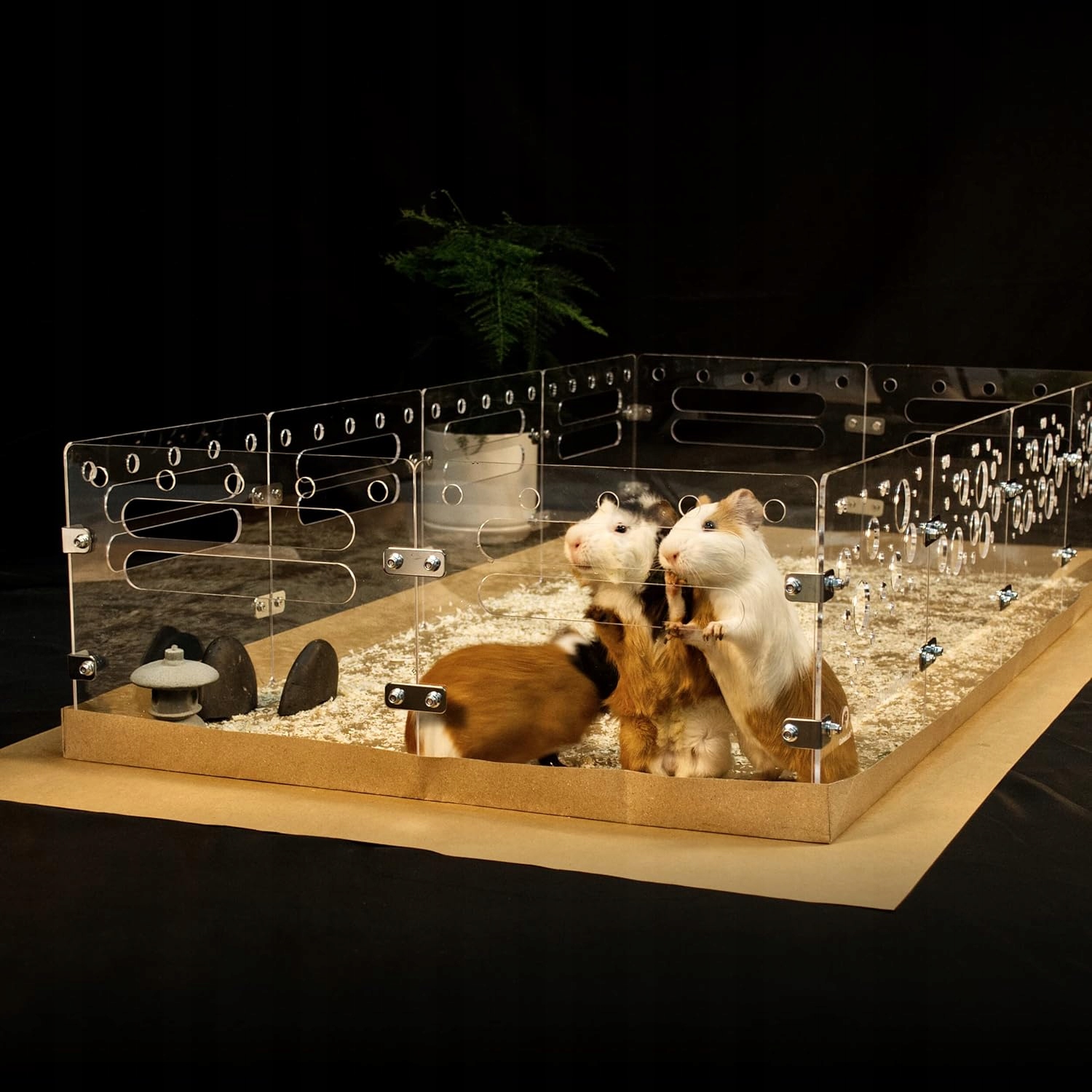 Levně Akrylová klec pro morčata a křečky hlodavce GuineaLoft Premium