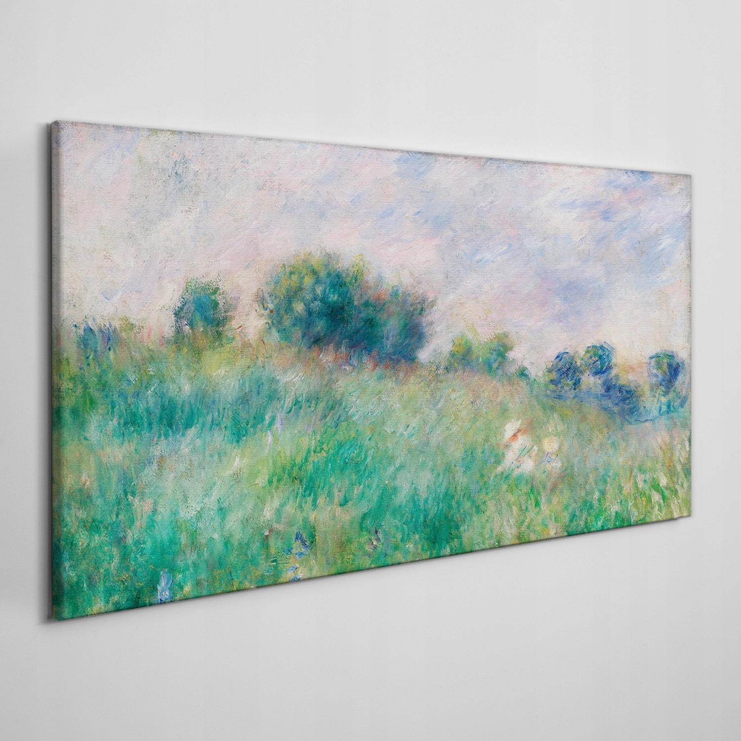 

Obraz ścienny na płótnie Łąka las niebo 120x60 cm