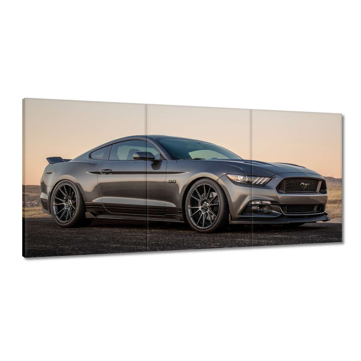 Obrazy 210x100 Ford Mustang vyrobené v Usa