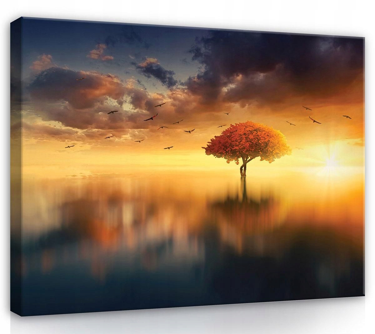 Obraz Na Plátně Canvas 100x75 Strom Voda Slunce