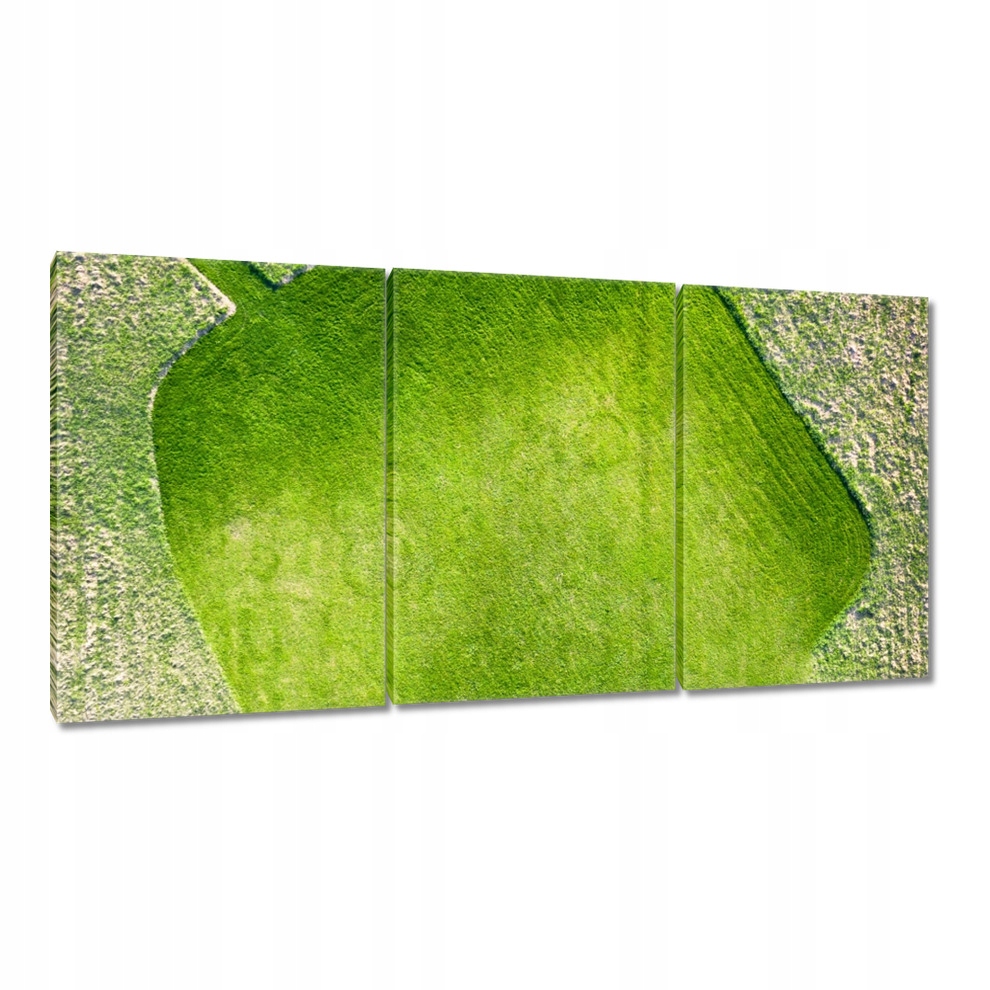 

Obrazy 120x60 Trawa Pole Łąka Droga