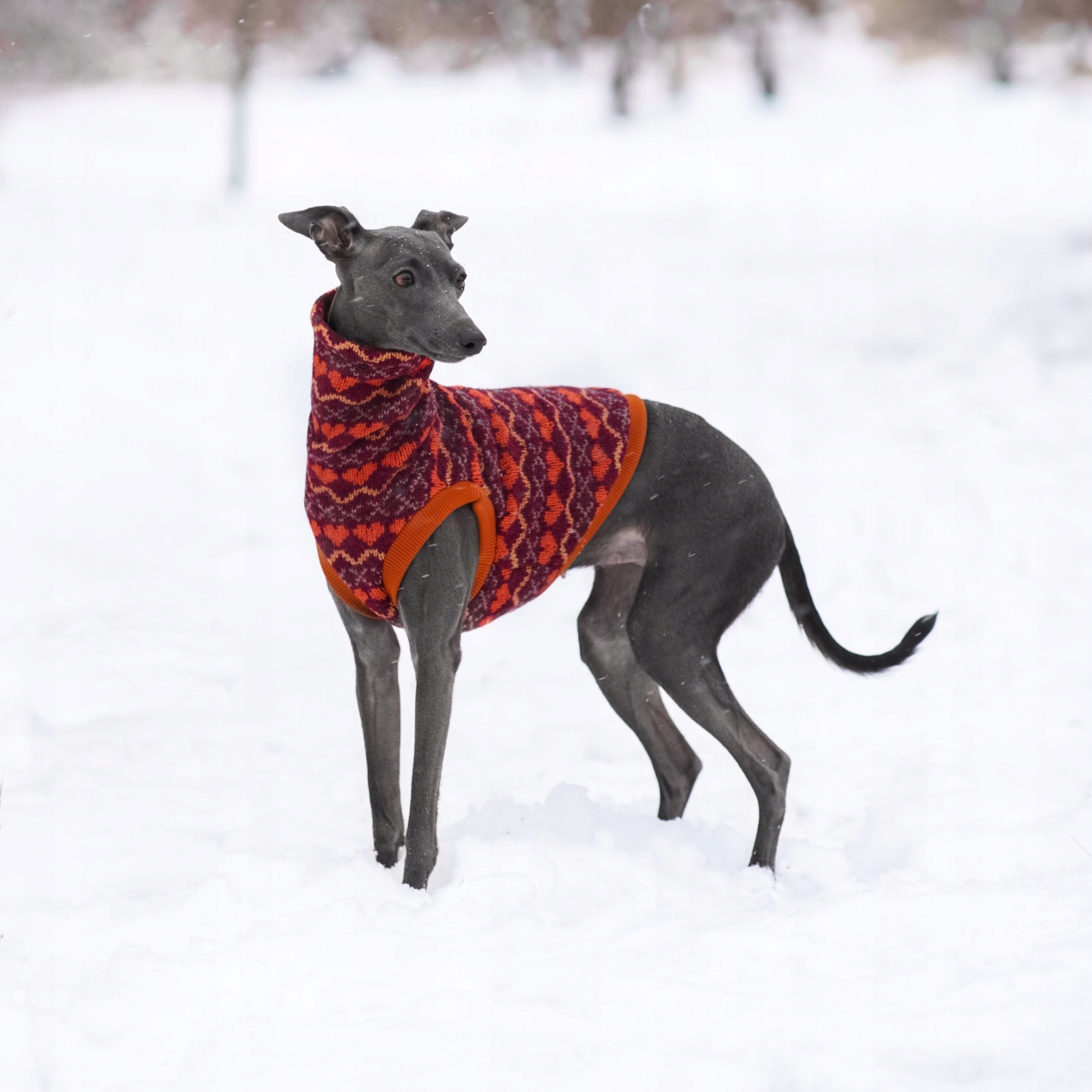 Levně Oblečení pro italského chrtíka Retro bez rukávů