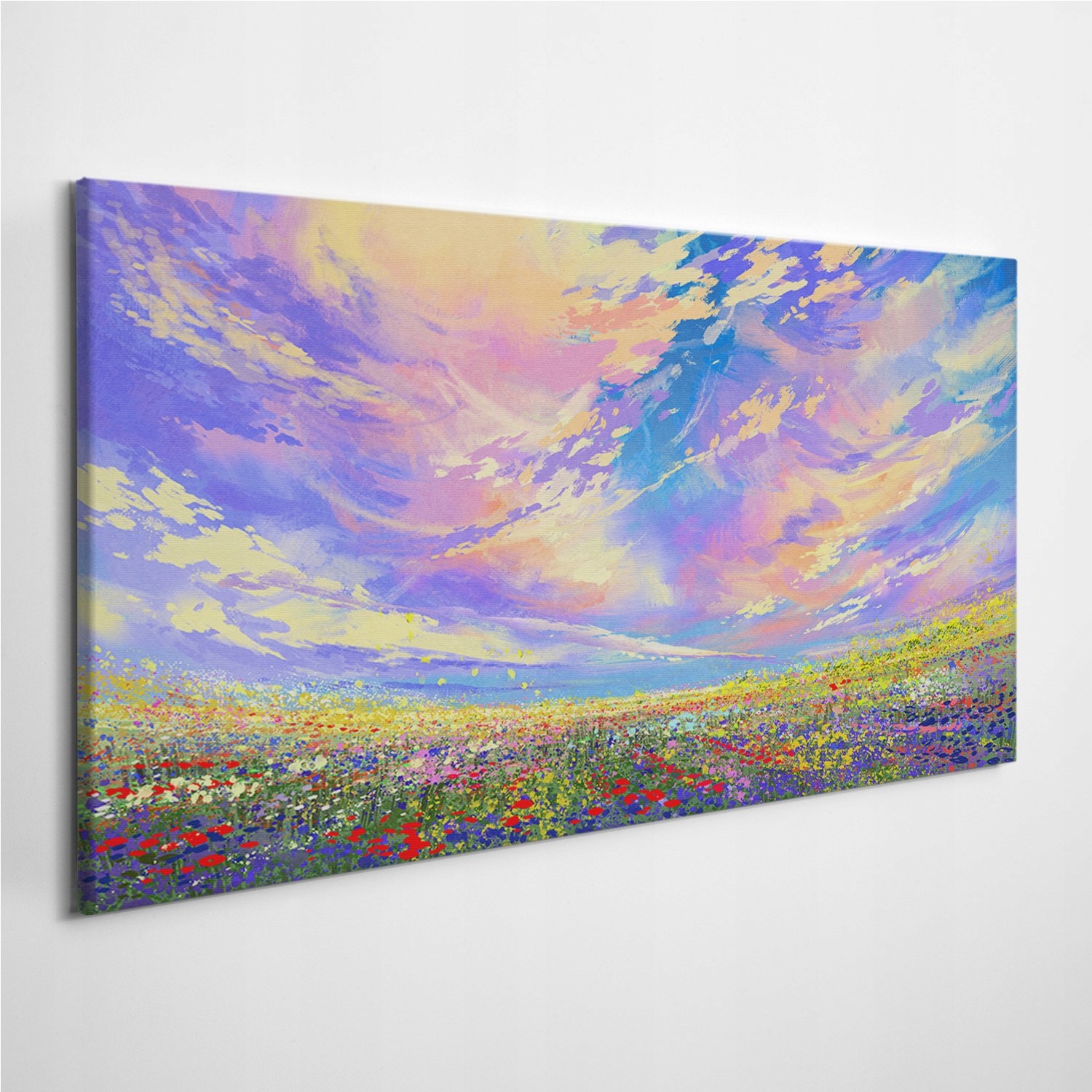

Zdjęcie na foto-obrazie Łąka Kwiaty Niebo 120x60