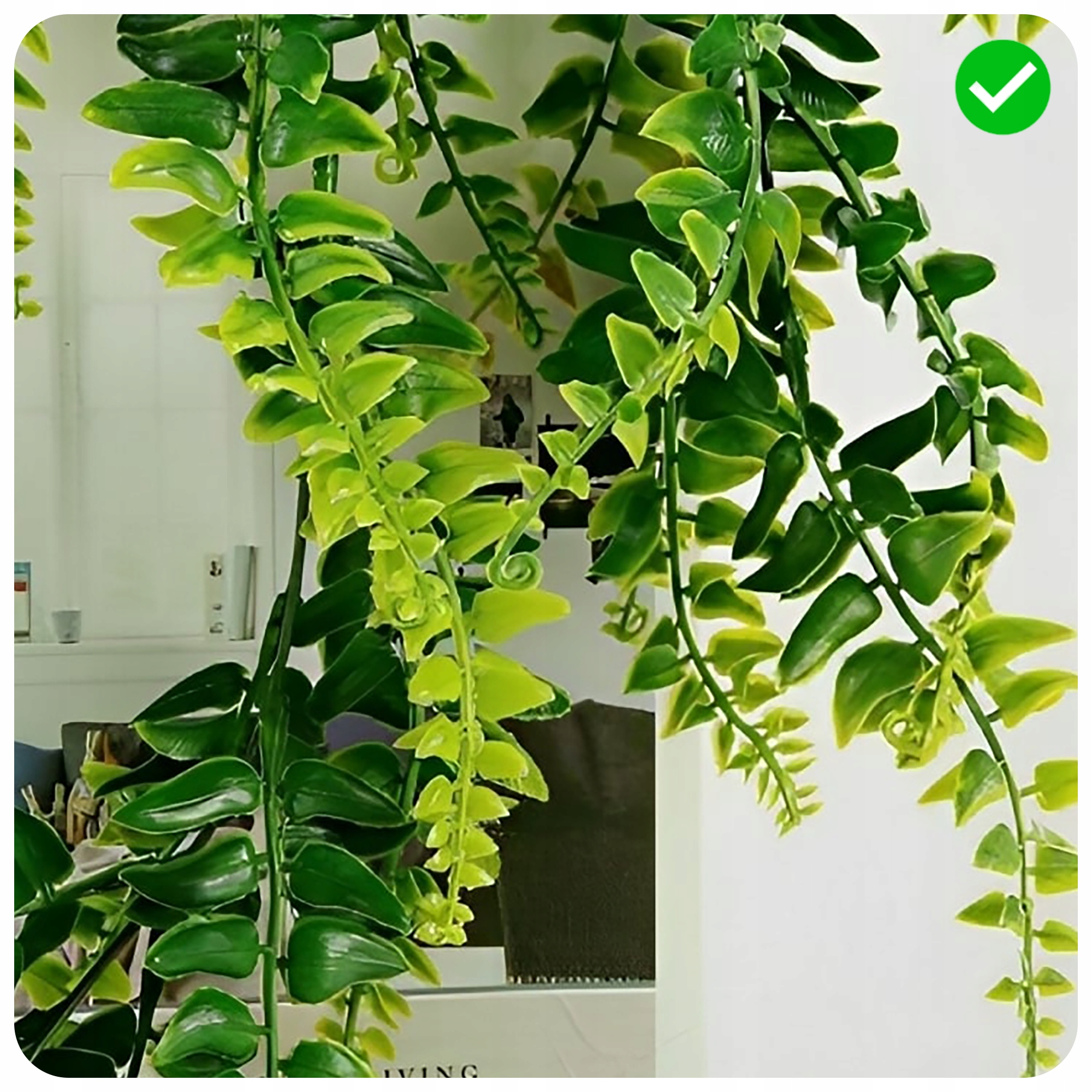 PAPROĆ SZTUCZNA 80 CM REALISTYCZNE LIŚCIE PAPROCI Kod producenta PAPROĆ SZTUCZNA