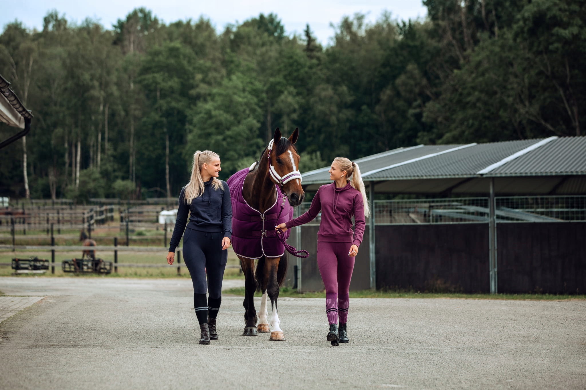 Horze Damskie bawełniane legginsy jeździeckie Elinor Vdb 34