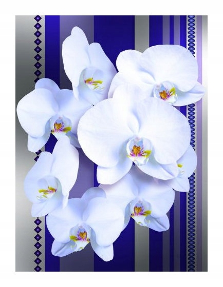 Fototapeta Orchidey biele fialové vinylové pruhy 184x254 lepidlo