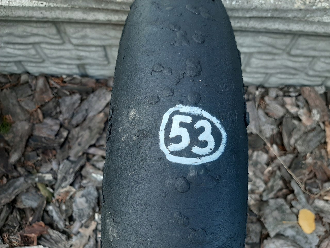 PIRELLI DIABLO SUPERBIKE SLICK 120/70 ZR17 (53)