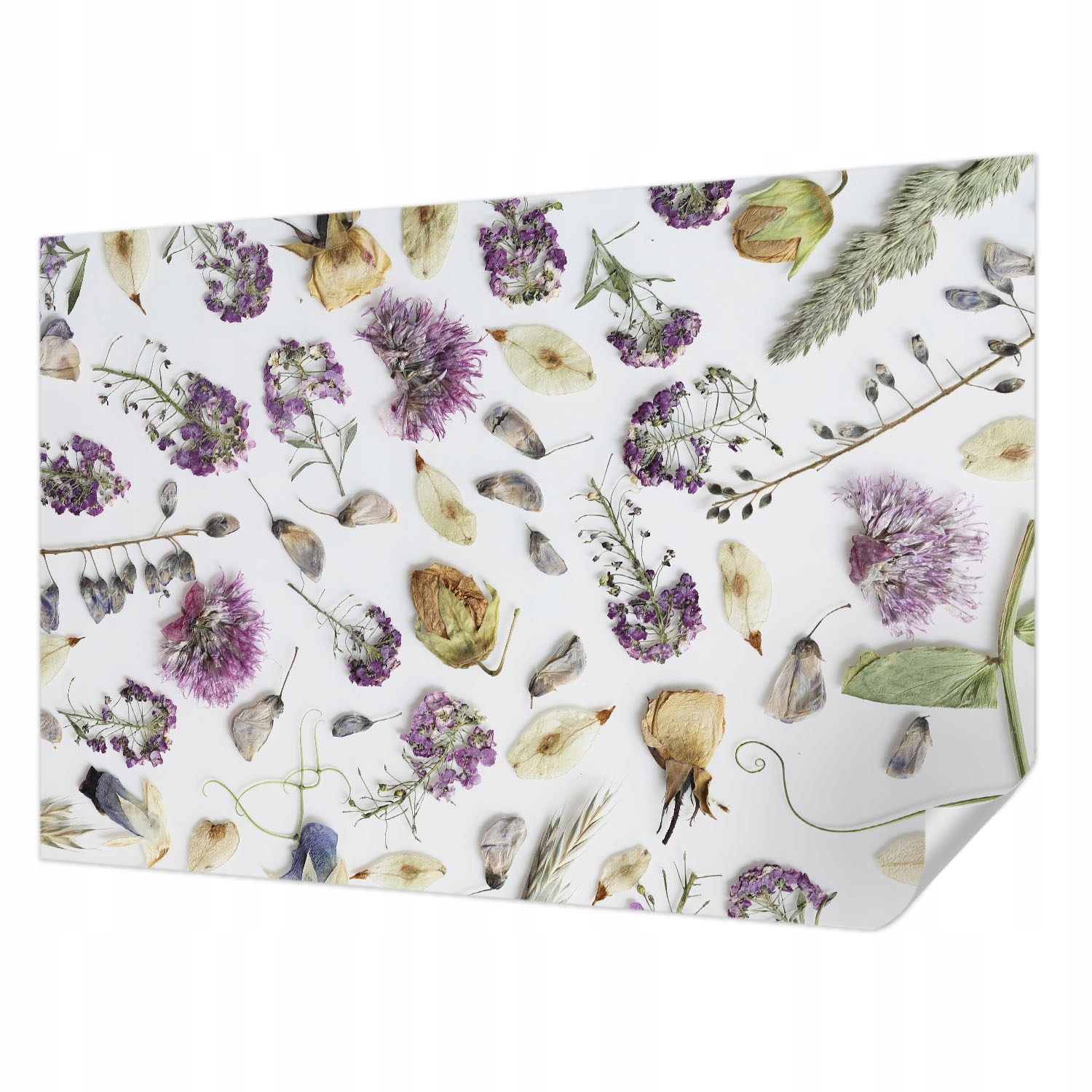 Fototapeta Samolepicí Elegantní dekorace domu Sušené květiny 104 x 70 cm
