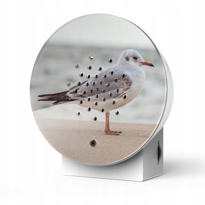 Relaxound Zvukový domček s zvukmi oceánu Oceanbox baltic seagull limite