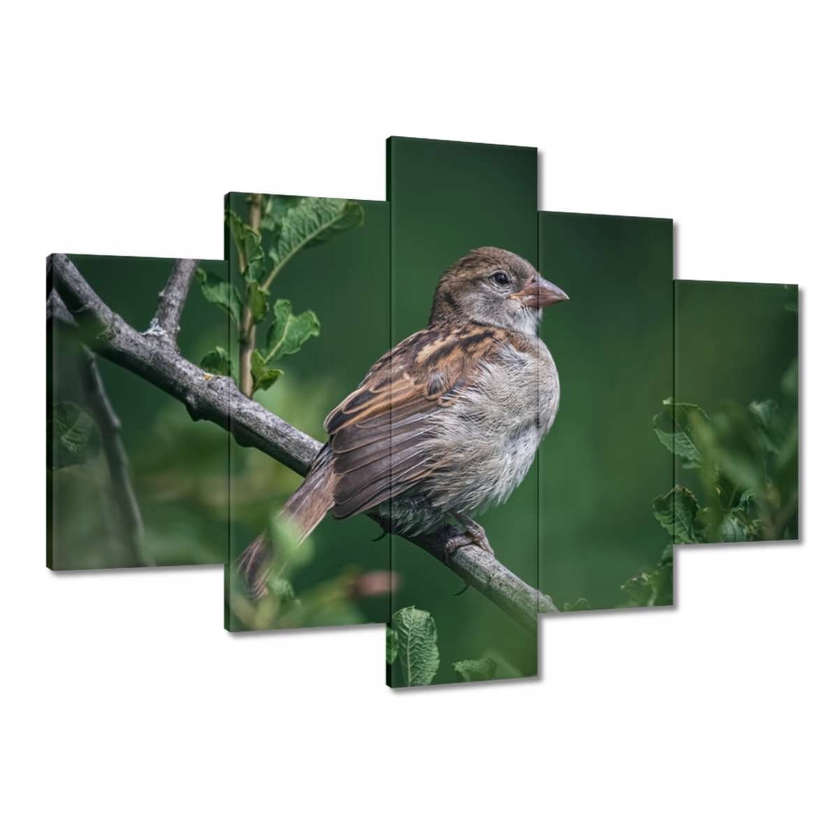 Obyčejný obraz 150x105 může být krásný