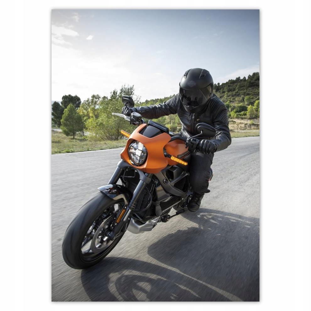 

Naklejki 50x70 Harley Davidson Motocykl