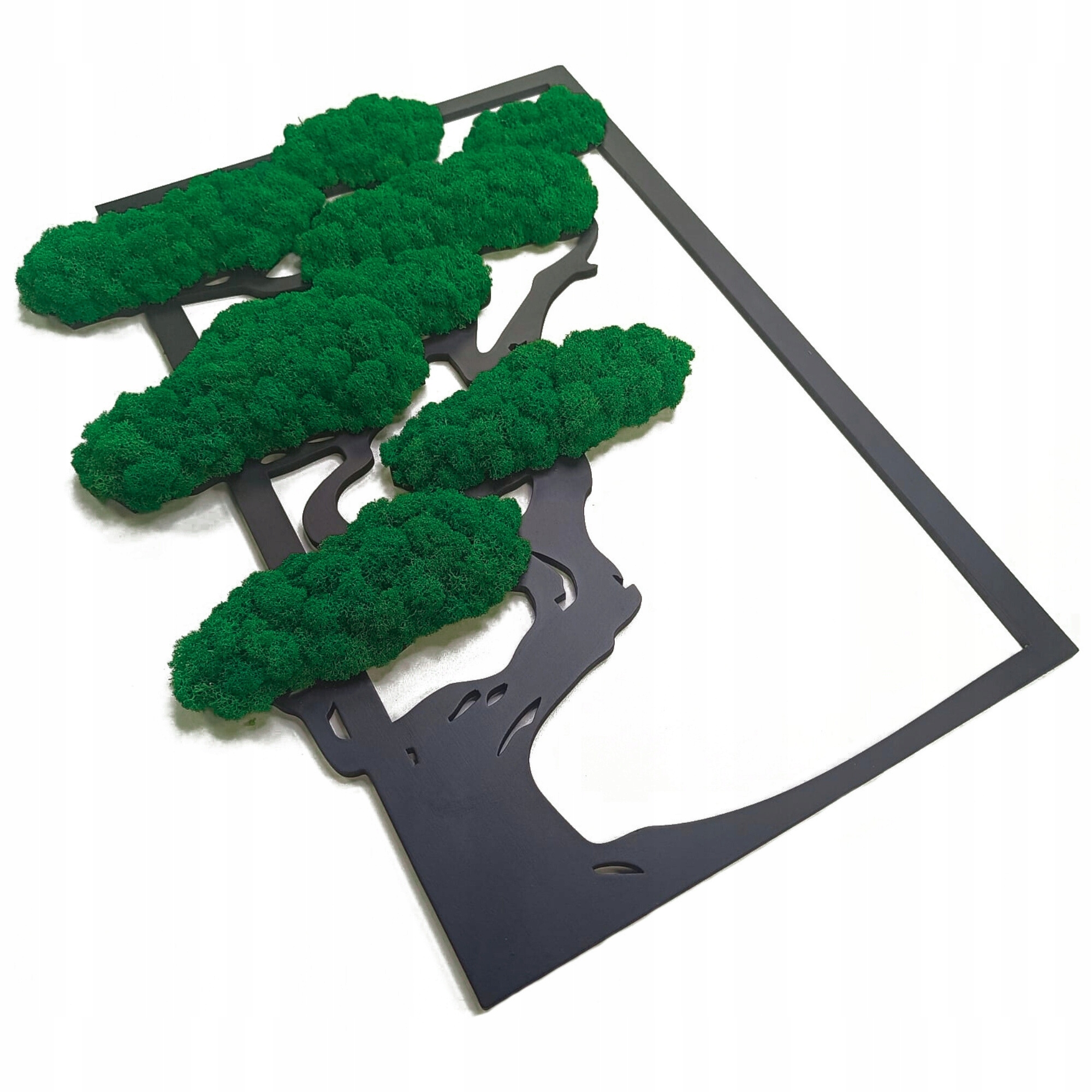 Obraz Severský Lišajník Strom Bonsai Obraz Z Machu Stromček Na Darček 31x50 cm