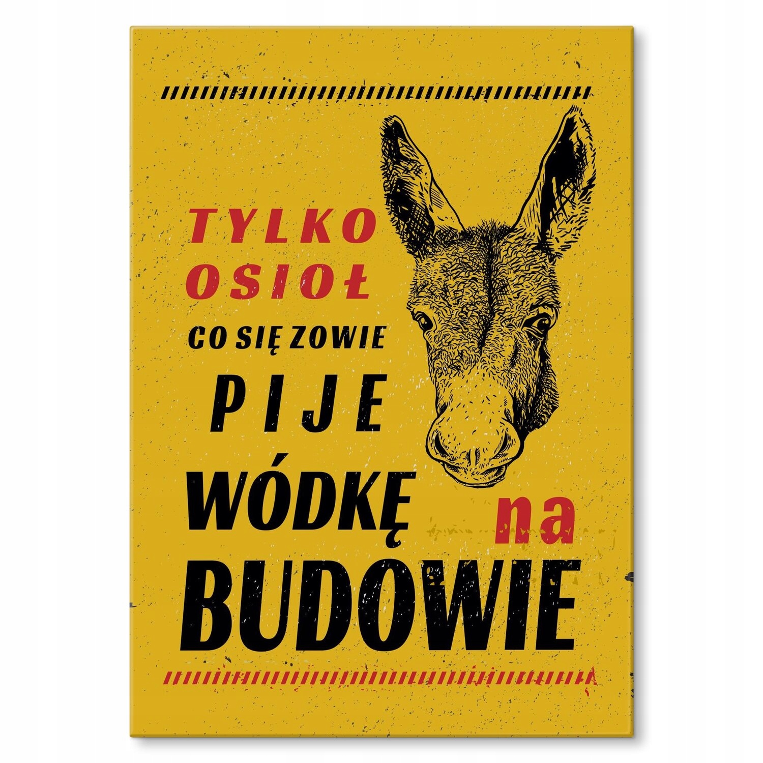 Kovový plakát pouze osel Šidítko Plech 22 x 31 cm Dárek
