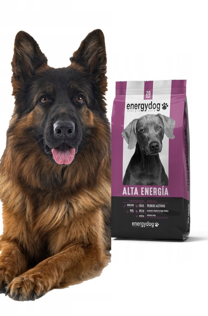 Sucha karma dla psa Energydog High Energy dla psów dorosłych 20kg