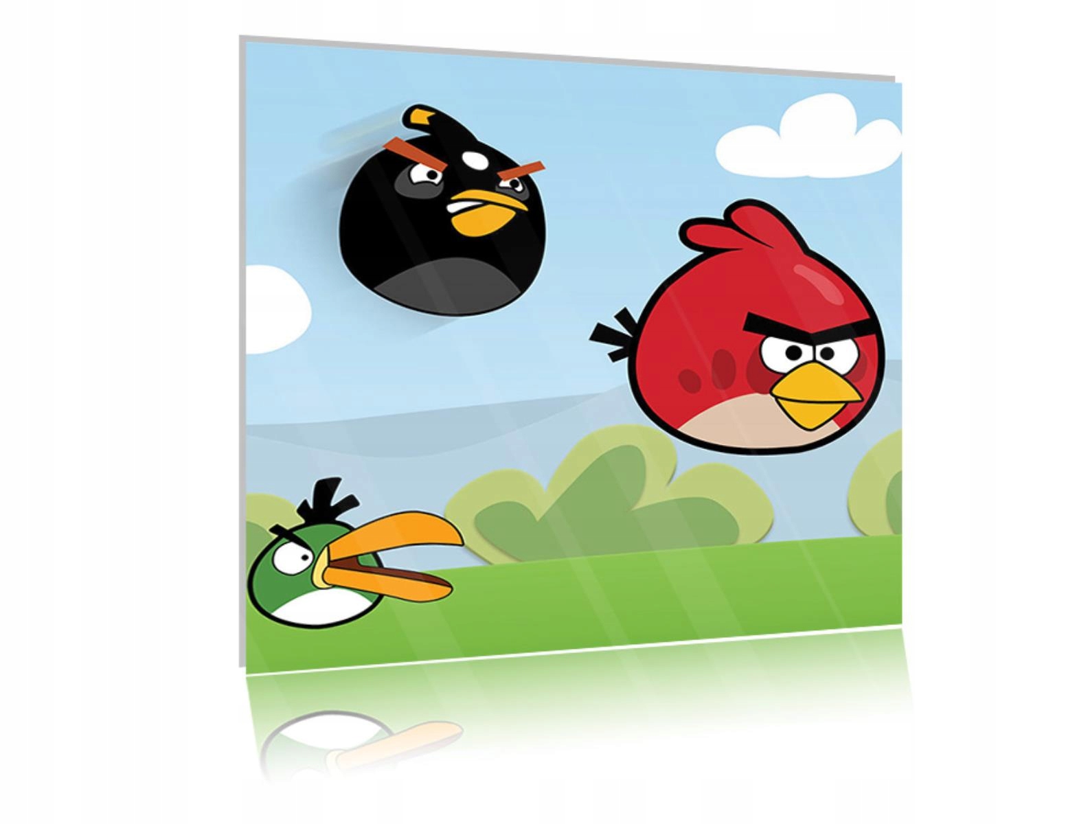 

Obraz szklany na szkle Angry Birds 01 40x40