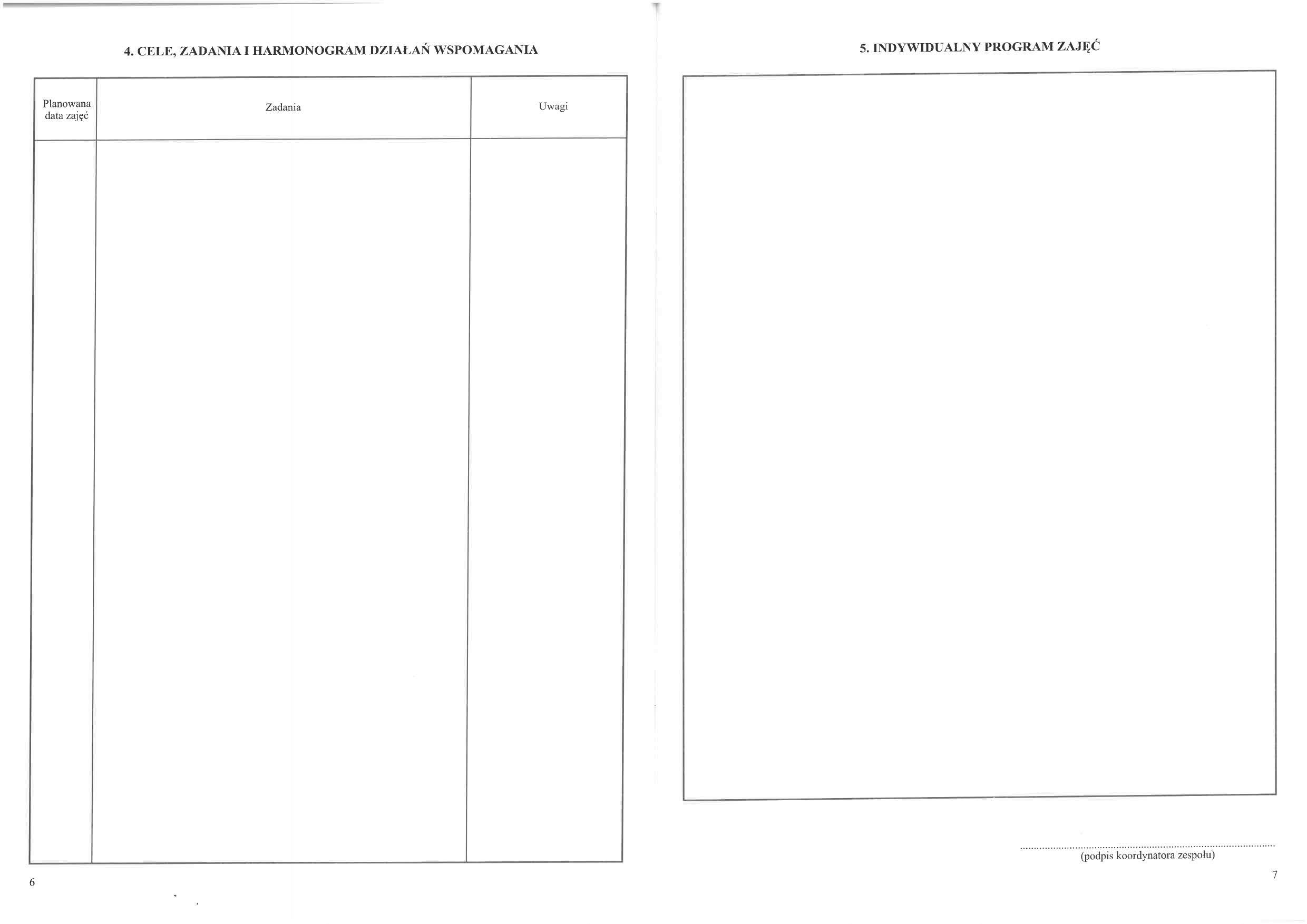 Dziennik indywidualnych zajęć i organizacji wczesnego wspomagania Rodzaj inny