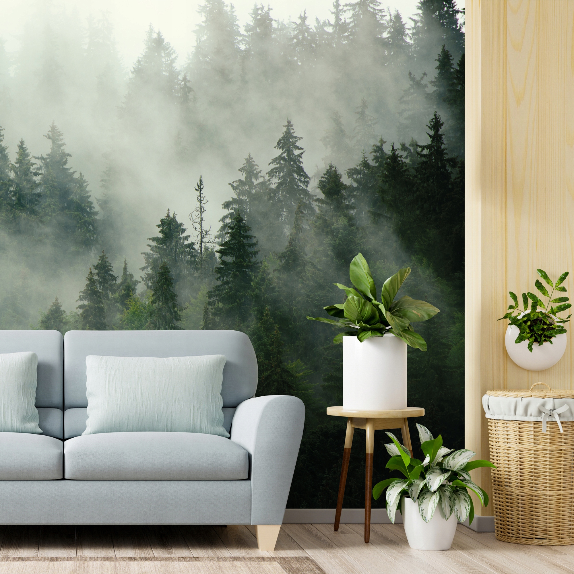 

Fototapeta Natura Las we mgle 300x260cm do salonu