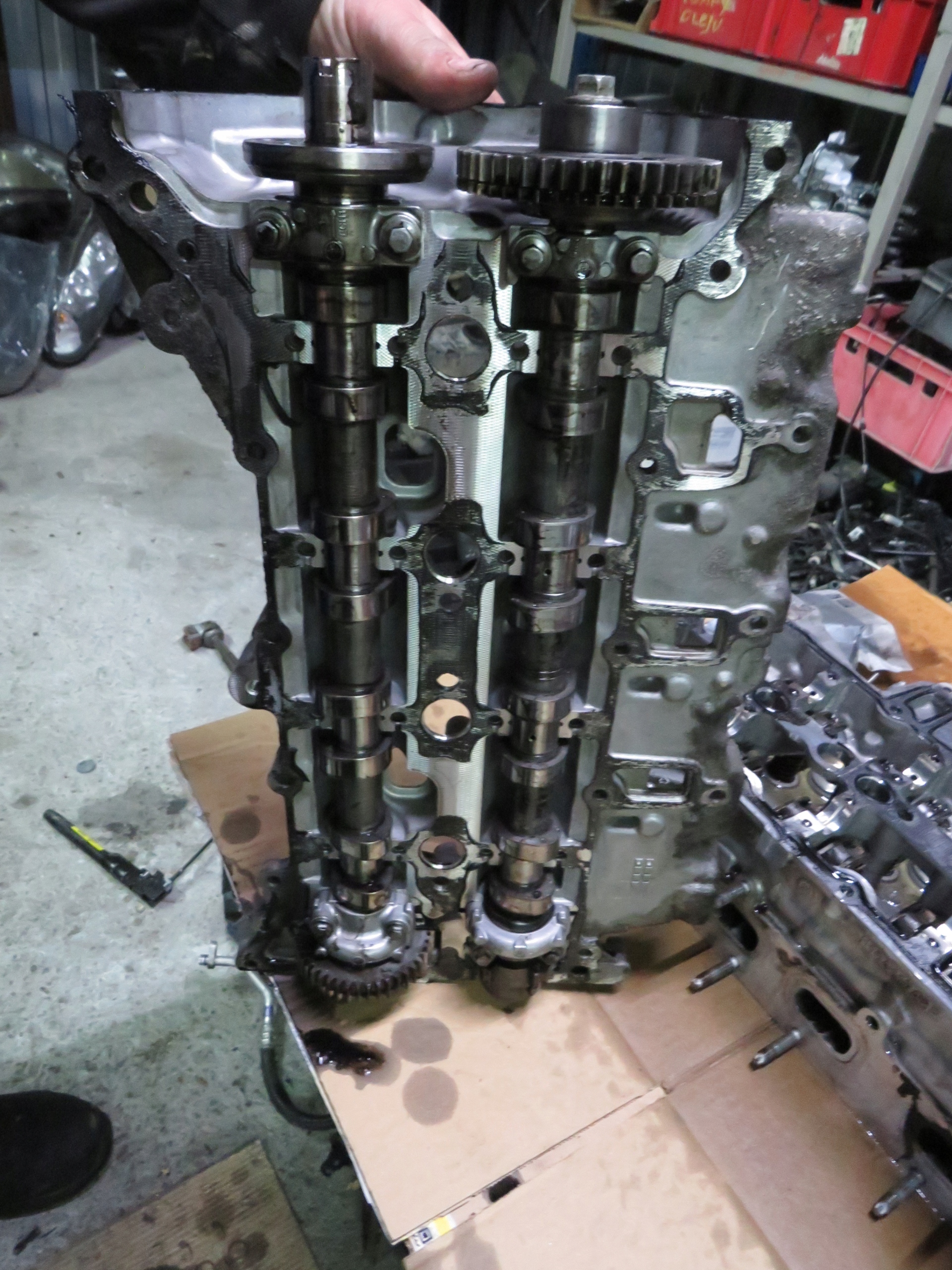 GŁOWICA 2.0 DCI 110411748R 130009955R RENAULT Producent części Renault OE