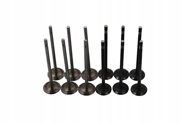 04E109601 +04E109611L - Клапан Borsehung B19160