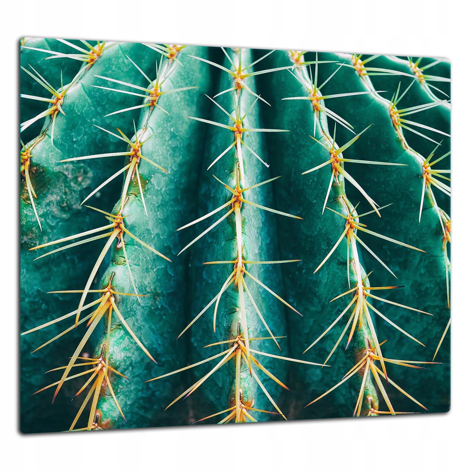 Skleněná Ochranná Deska Panel Lepidlo 65x60 Kaktus