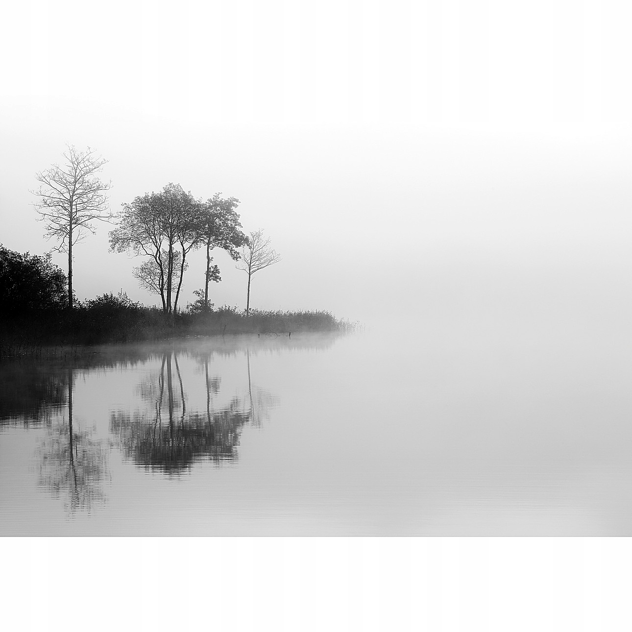 Dekoria Obraz na plátně By the Lake I