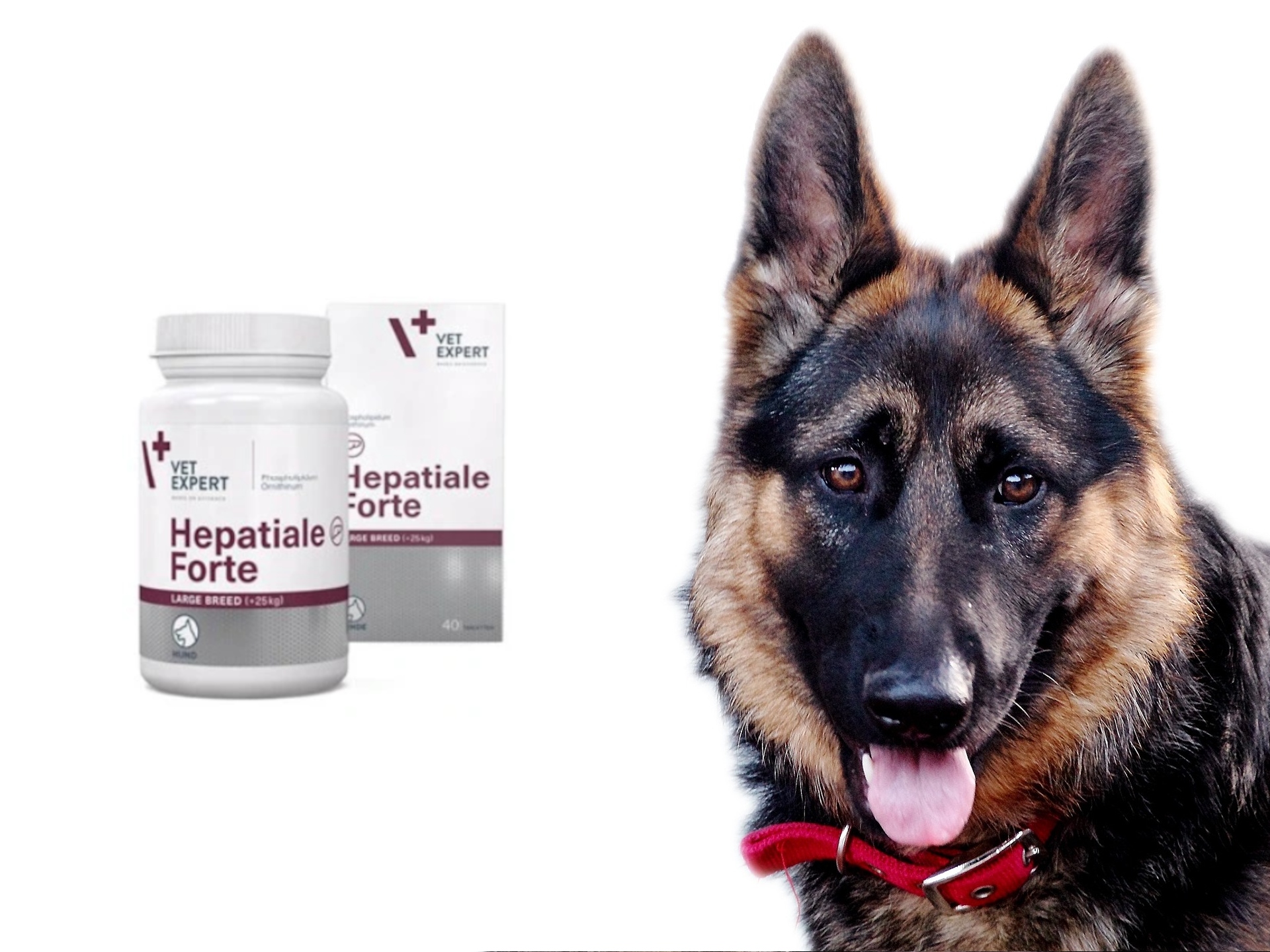 VetExpert Hepatiale Forte large breed 40 tabletek EAN (GTIN) 5907752658464